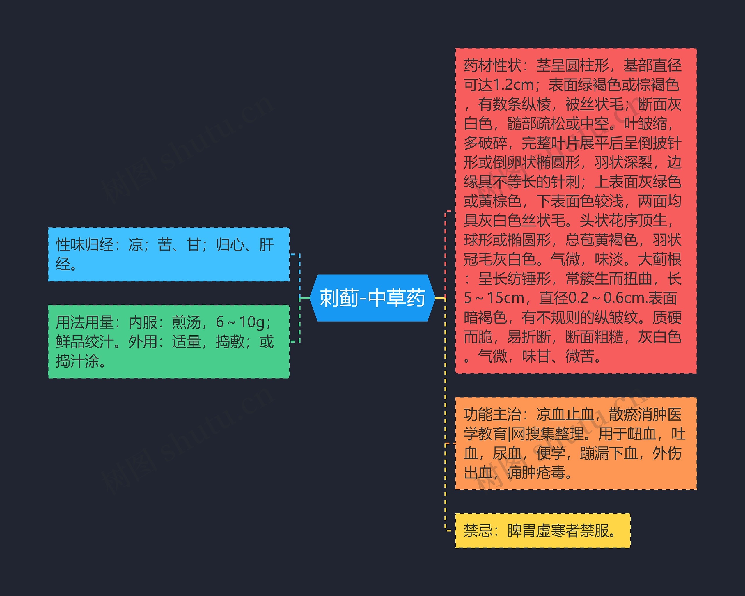 刺蓟-中草药思维导图