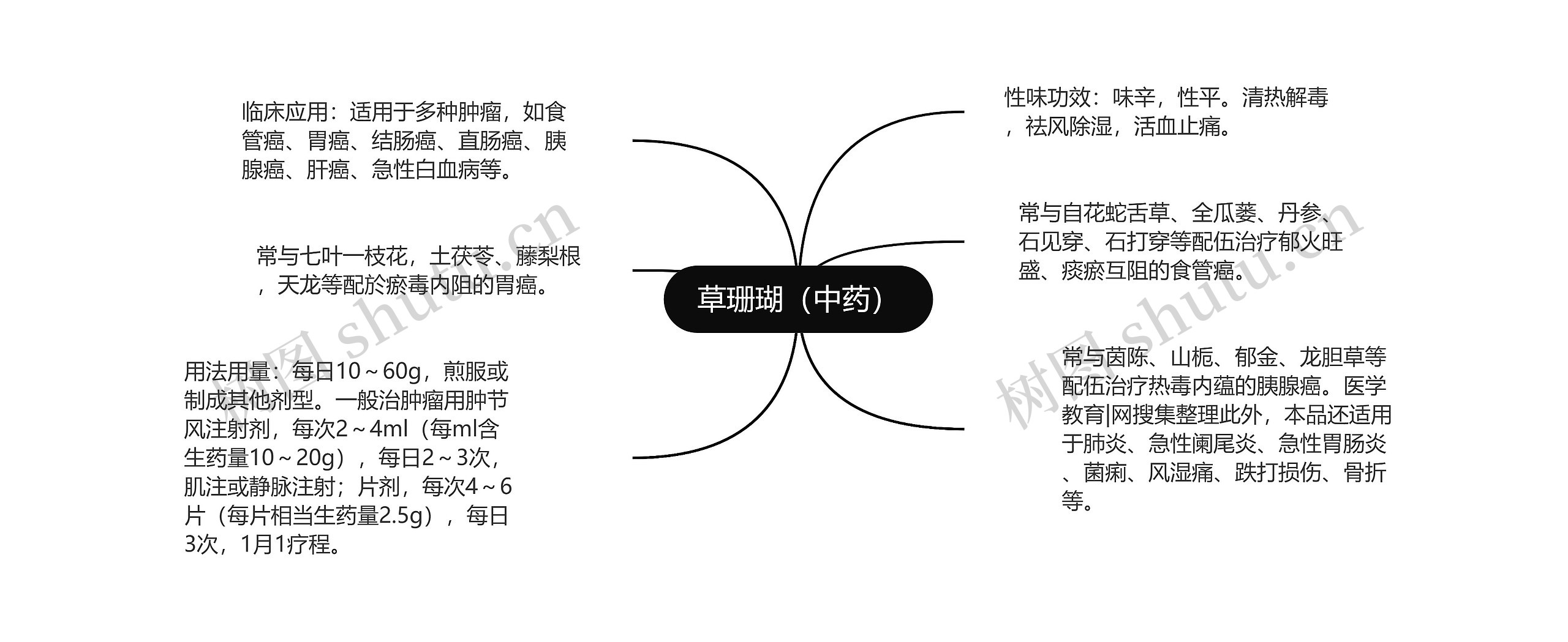 草珊瑚（中药）思维导图