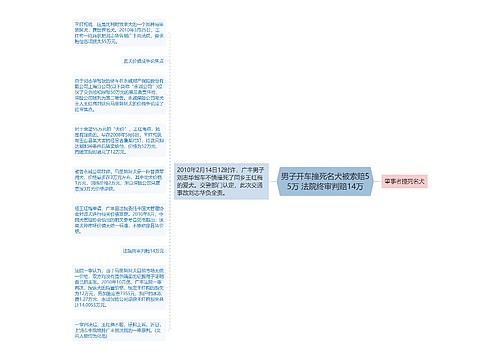 男子开车撞死名犬被索赔55万 法院终审判赔14万