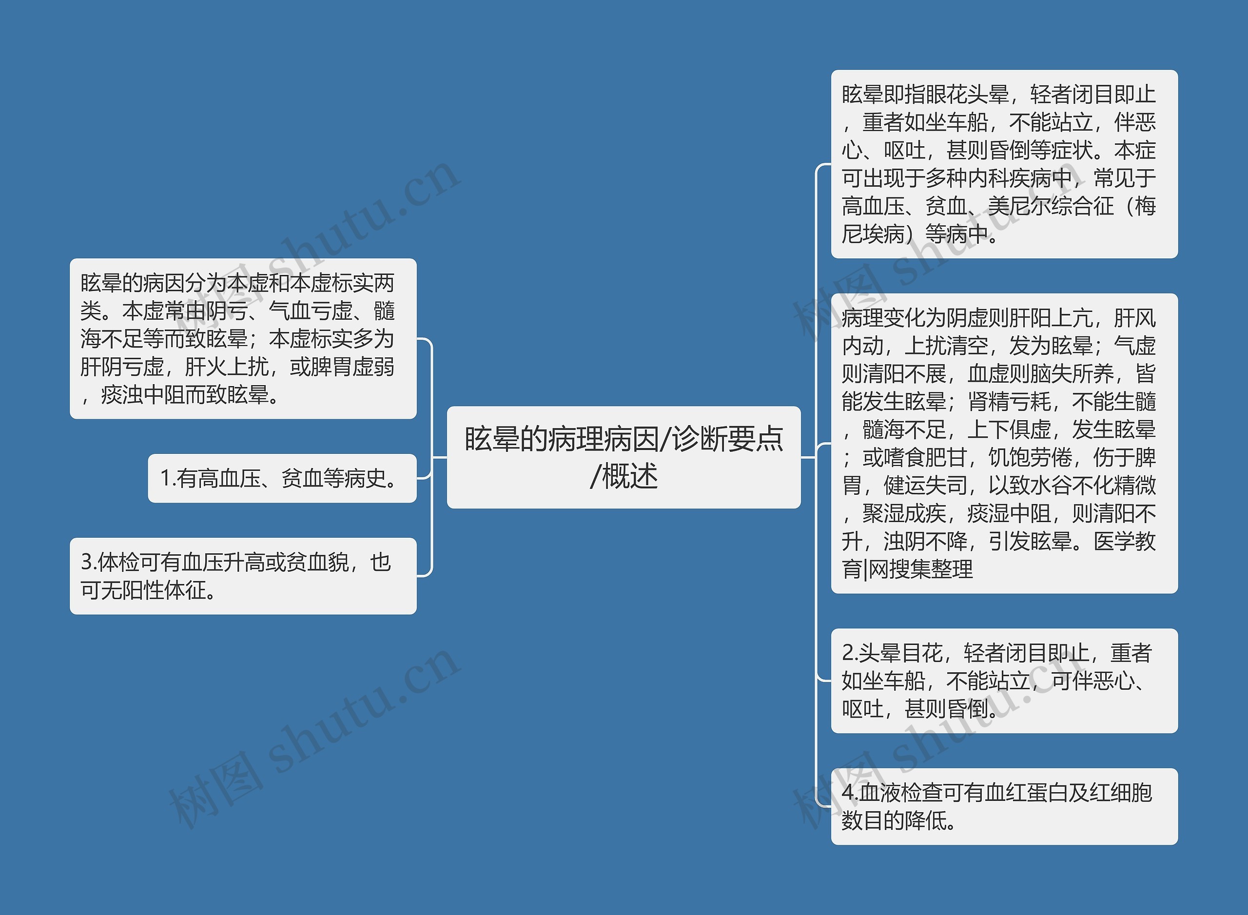 眩晕的病理病因/诊断要点/概述