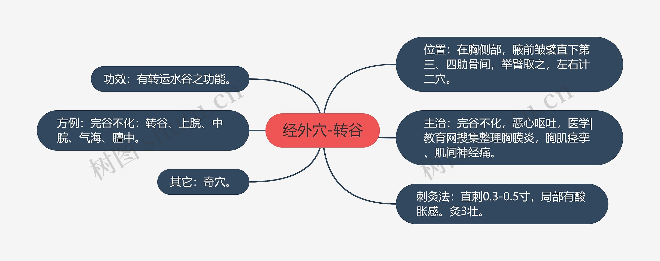 经外穴-转谷思维导图