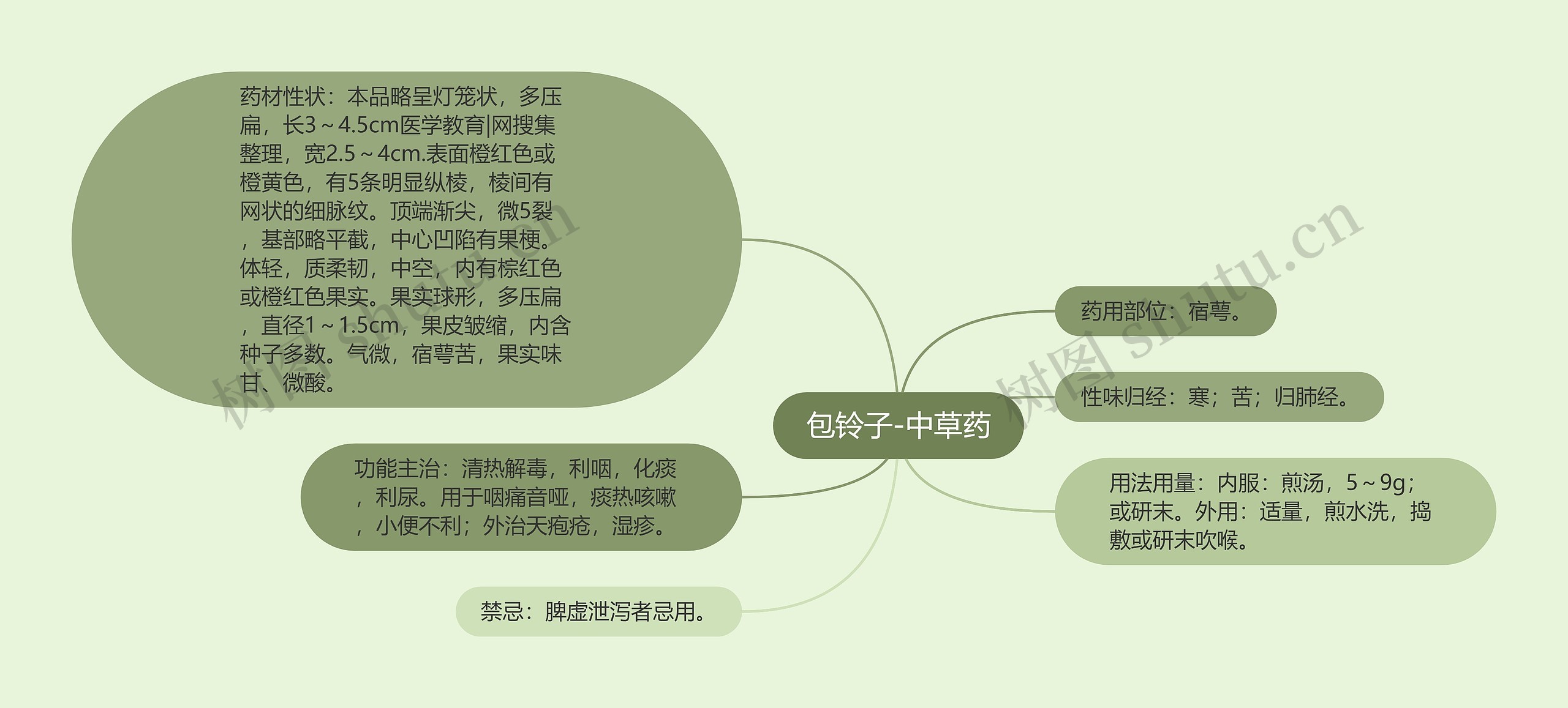 包铃子-中草药 包铃子-中草药