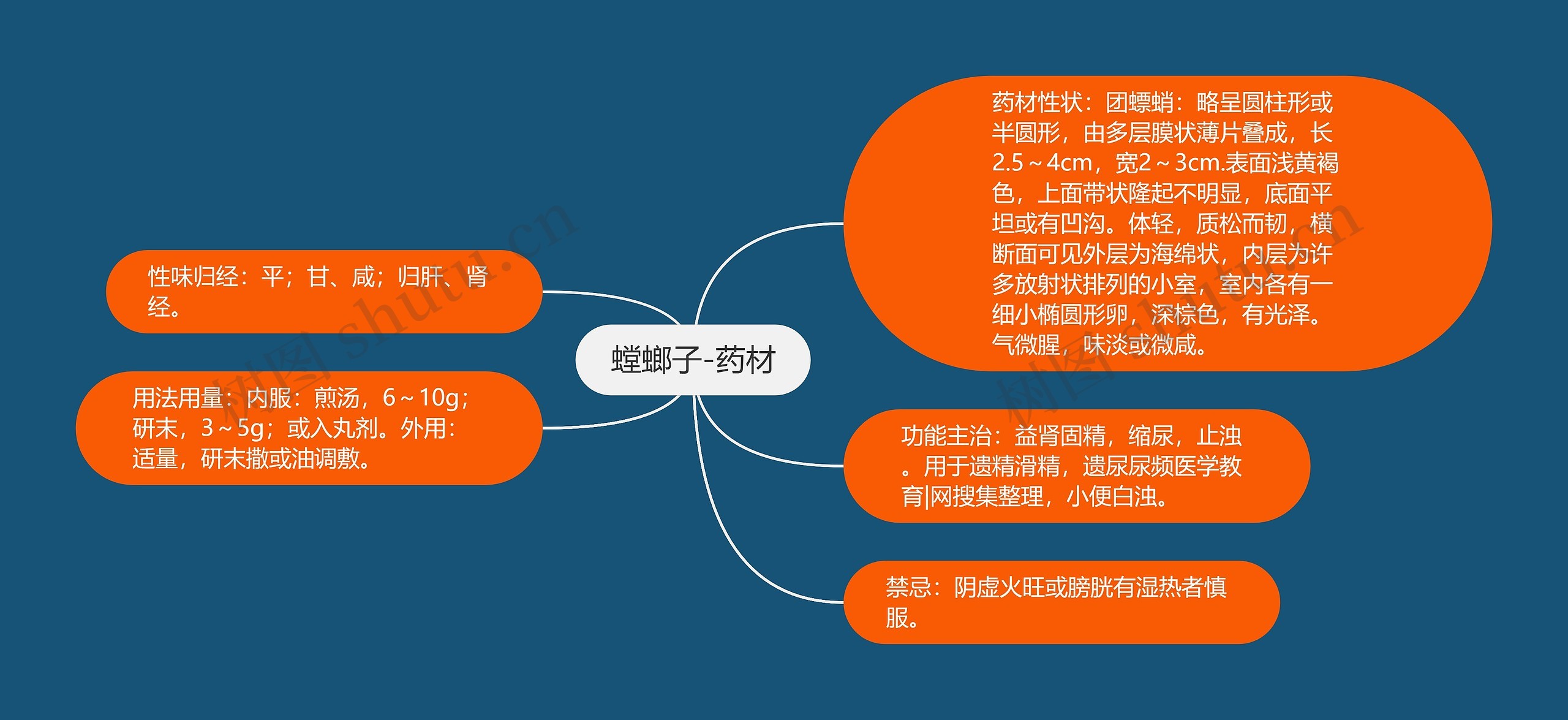 螳螂子-药材 螳螂子-药材