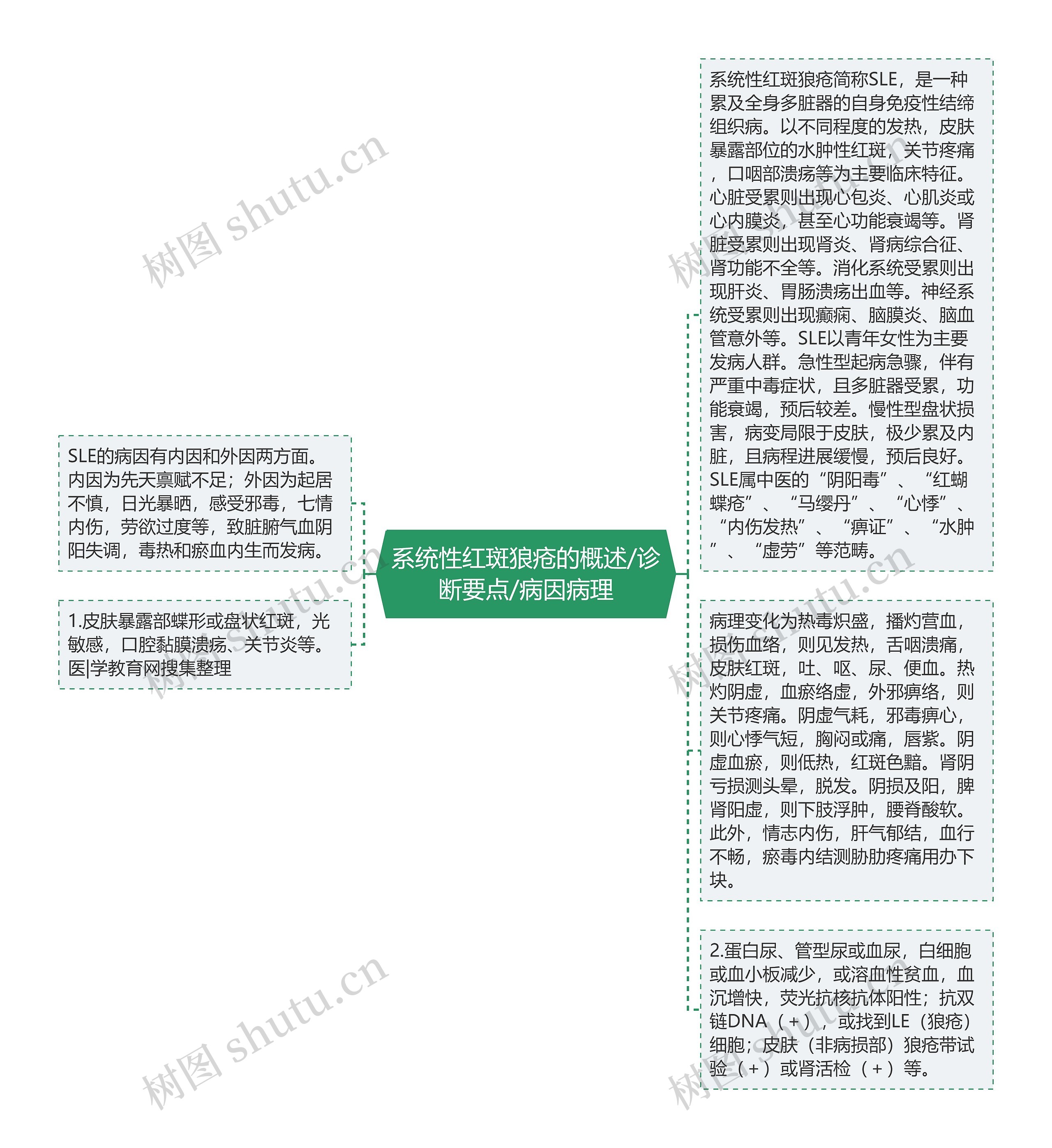 系统性红斑狼疮的概述/诊断要点/病因病理