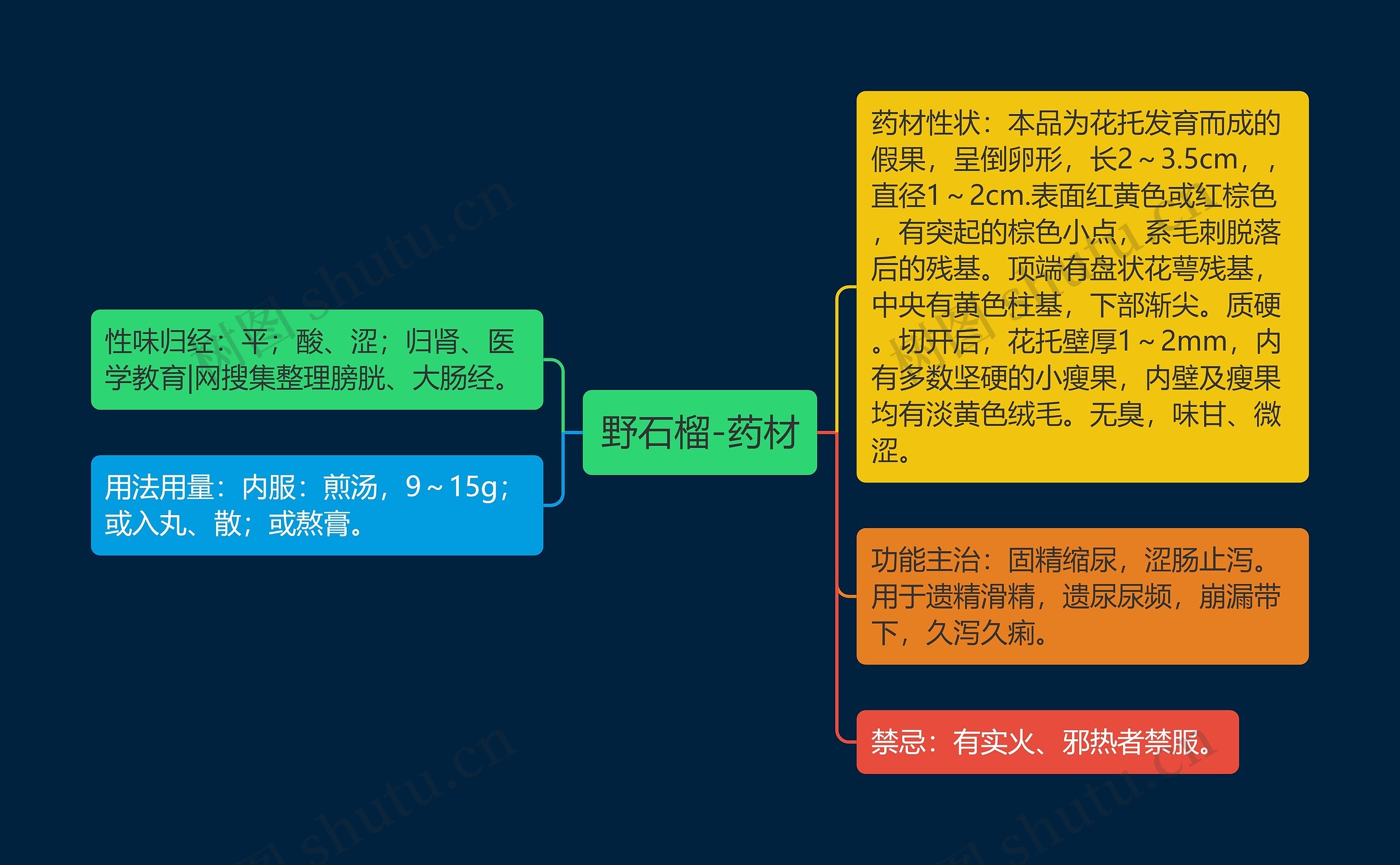 野石榴-药材 野石榴-药材