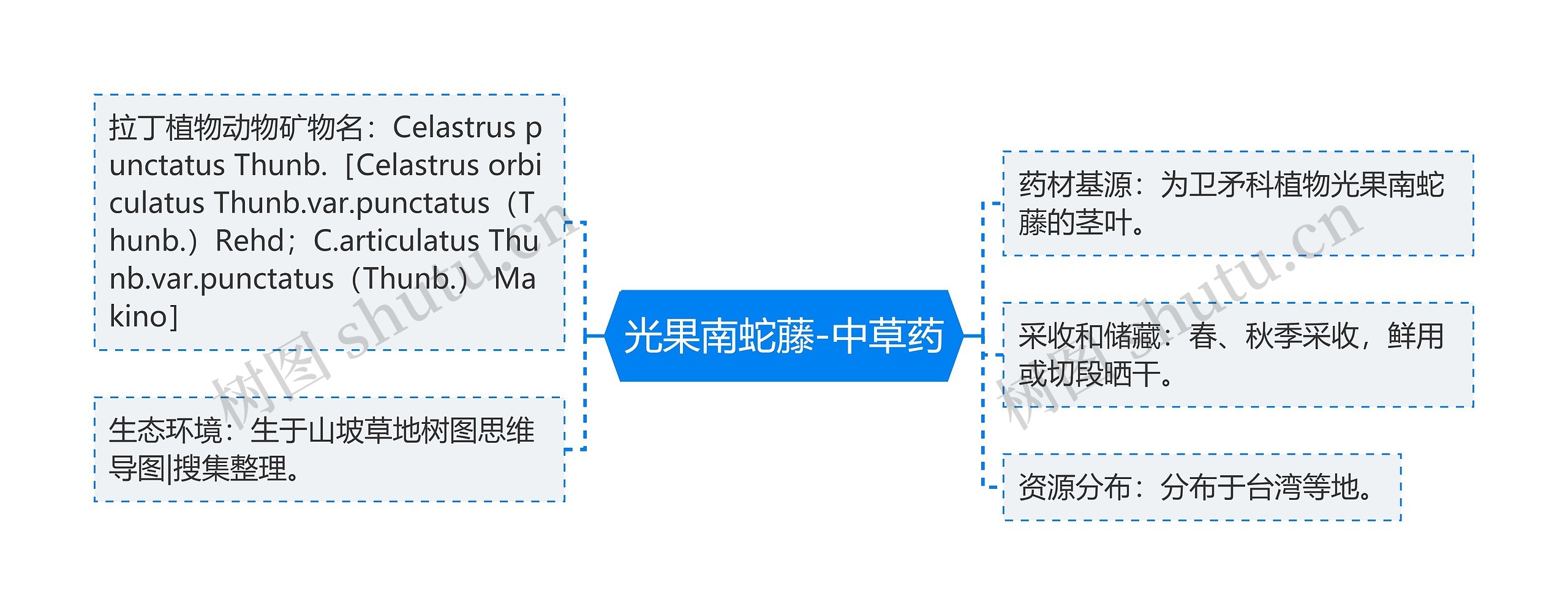 光果南蛇藤-中草药思维导图