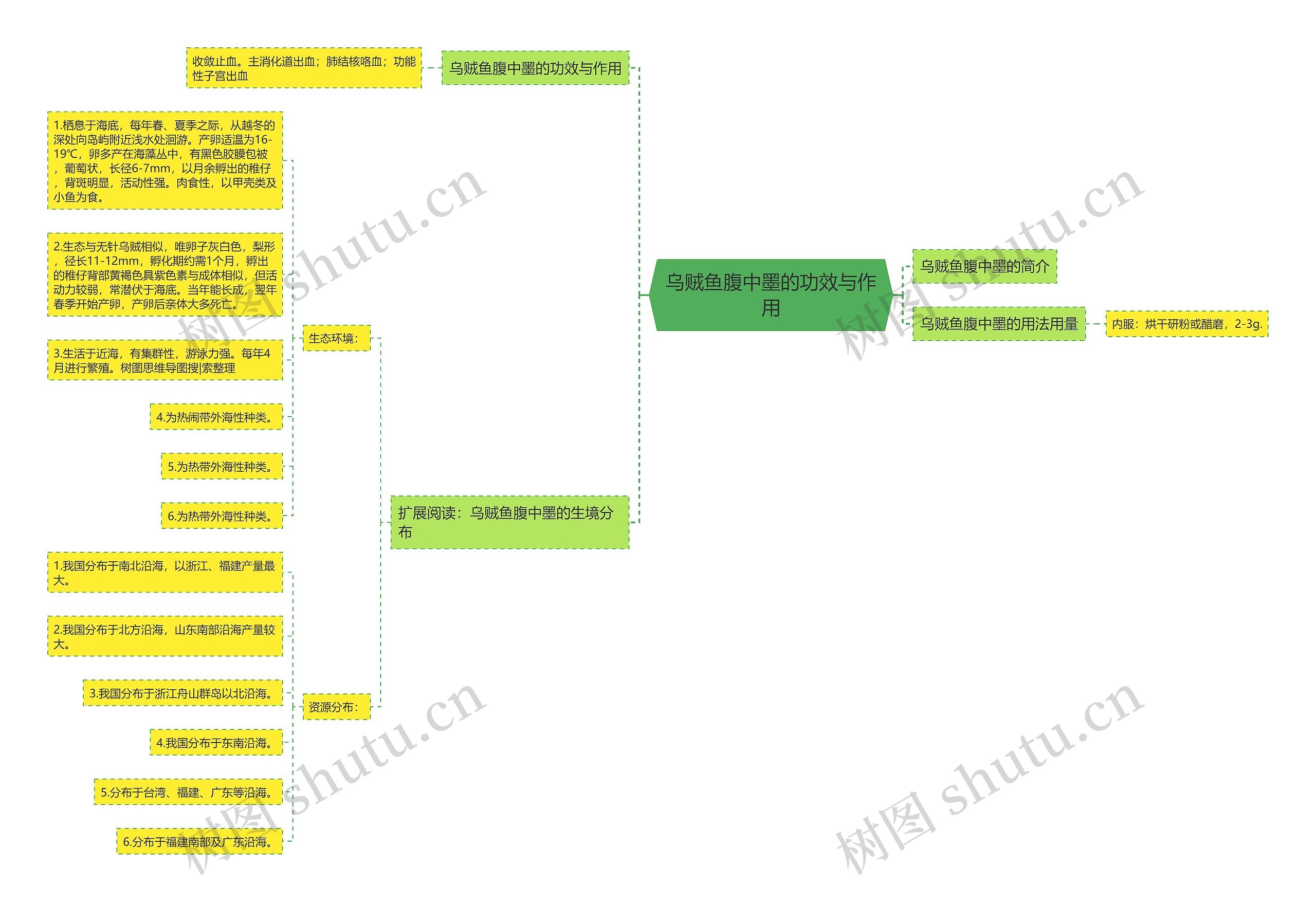 乌贼鱼腹中墨的功效与作用 乌贼鱼腹中墨的功效与作用
