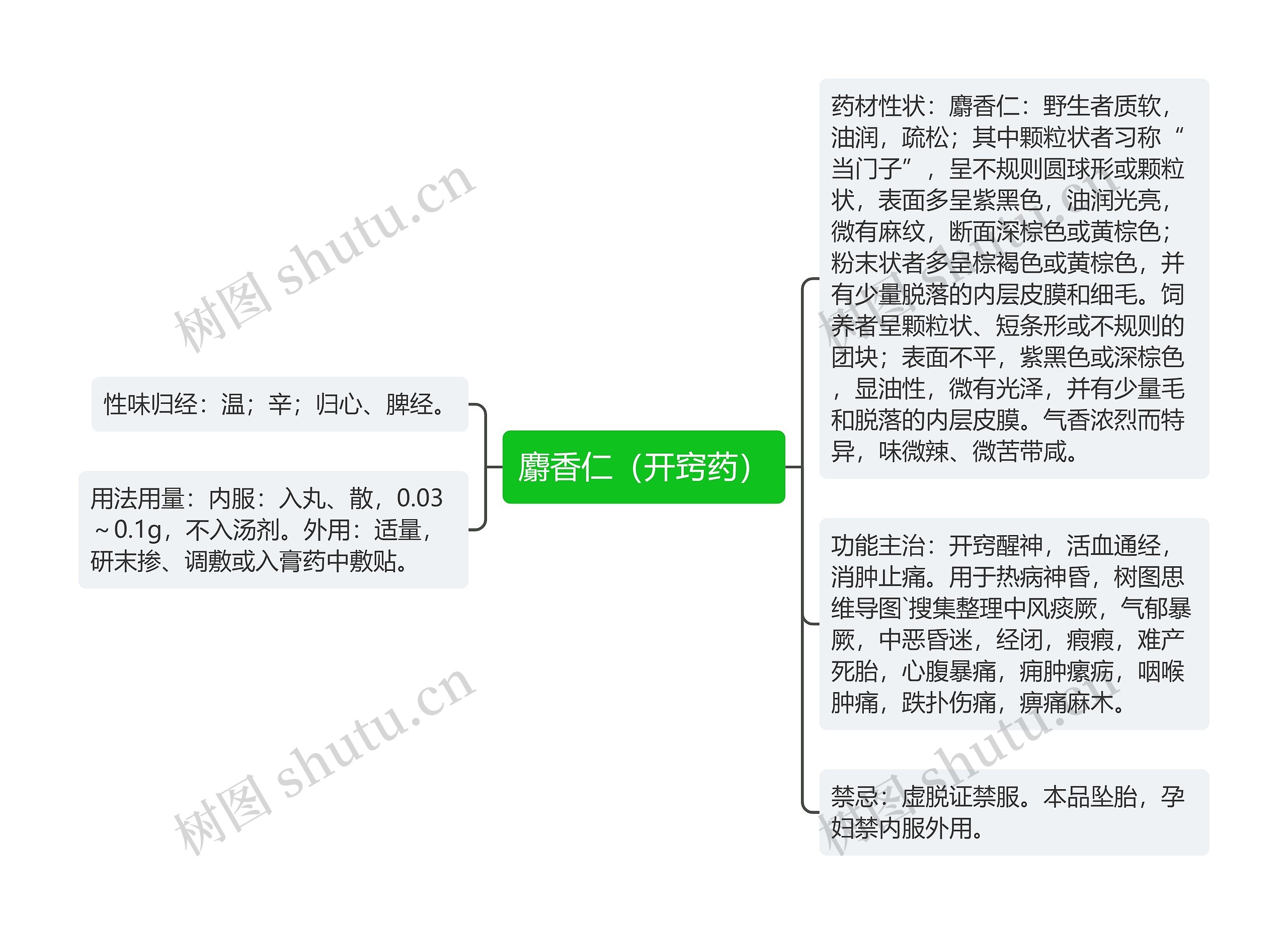 麝香仁（开窍药）