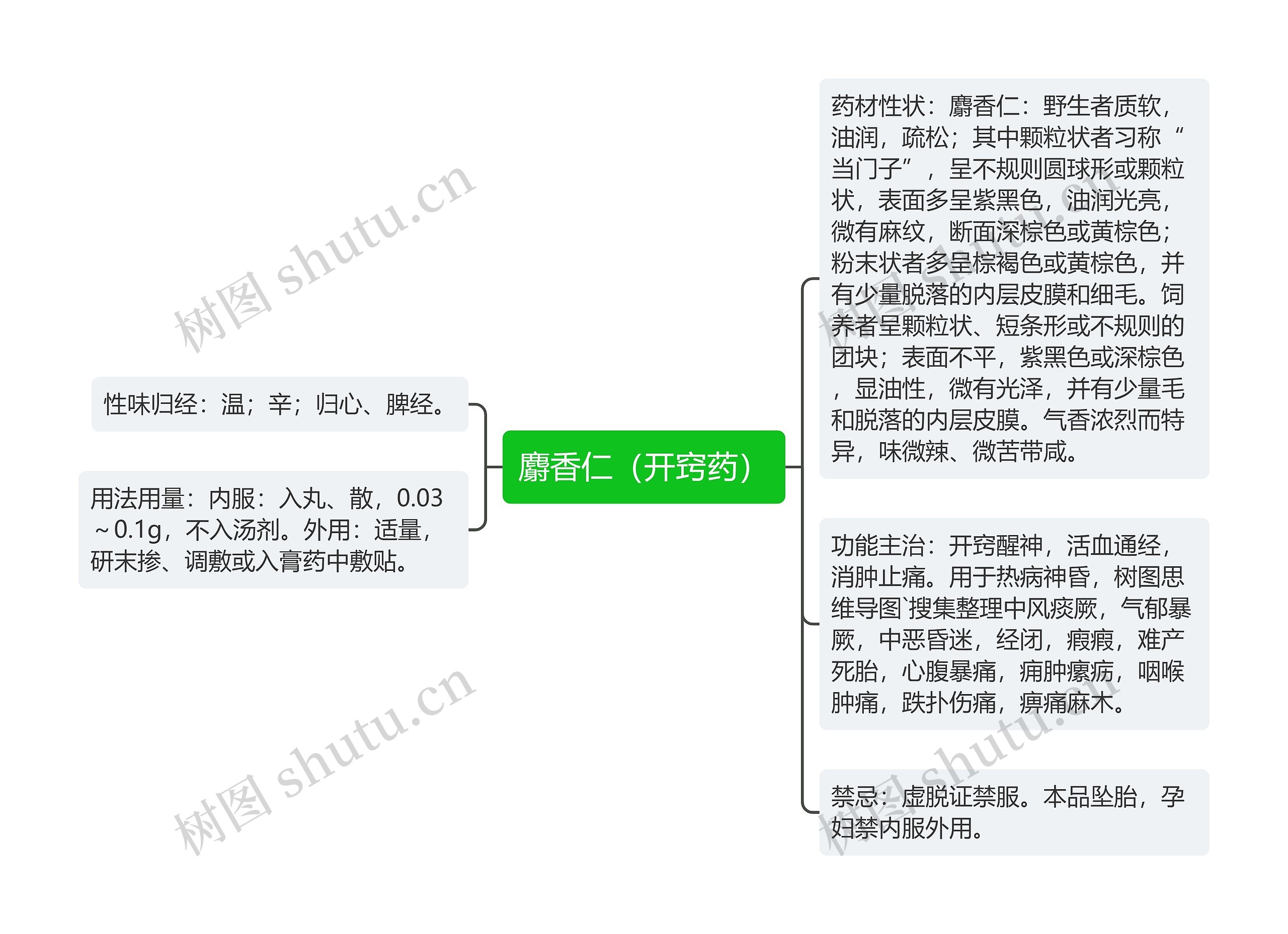 麝香仁（开窍药）思维导图