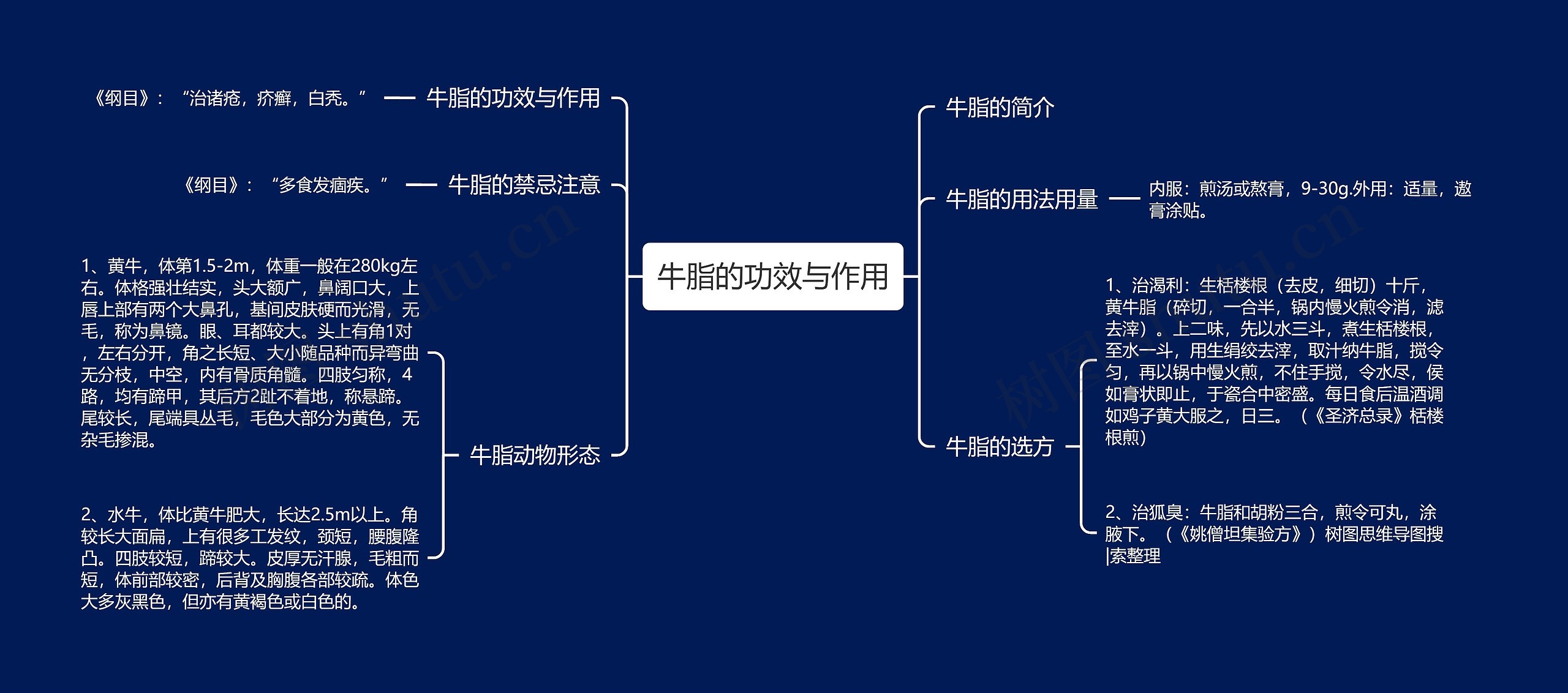 牛脂的功效与作用思维导图
