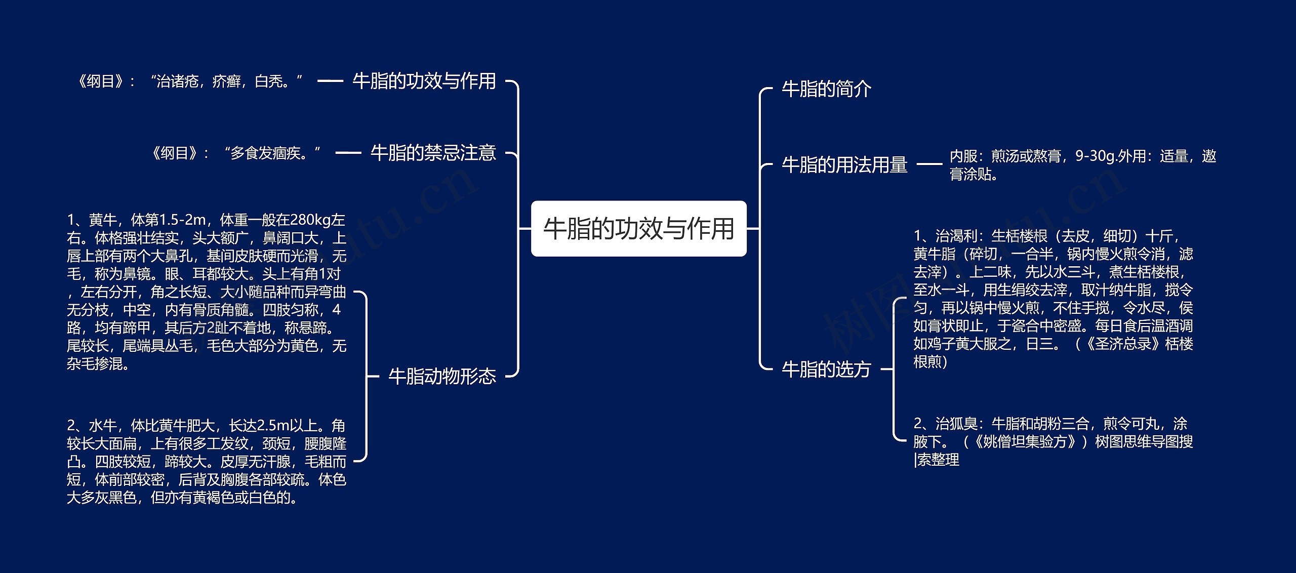 牛脂的功效与作用 牛脂的功效与作用