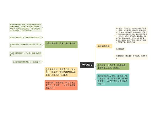 绣线菊根