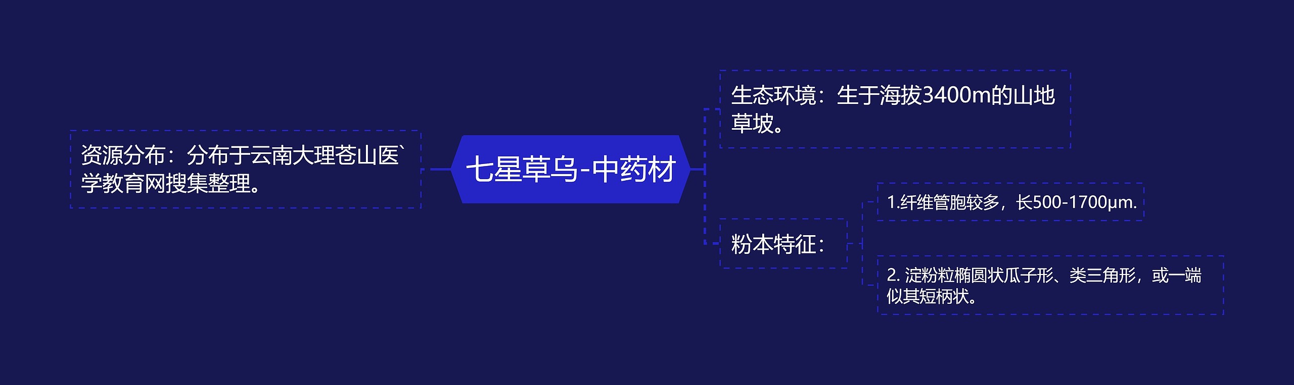 七星草乌-中药材 七星草乌-中药材