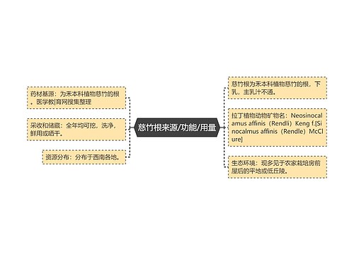 慈竹根来源/功能/用量