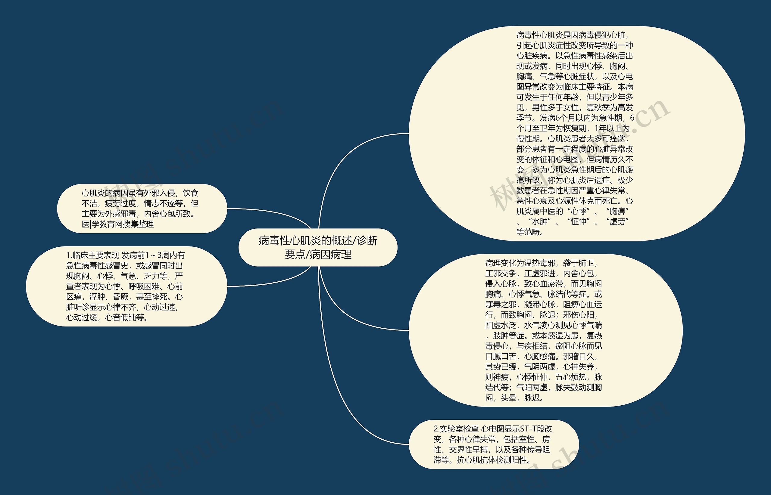 病毒性心肌炎的概述/诊断要点/病因病理