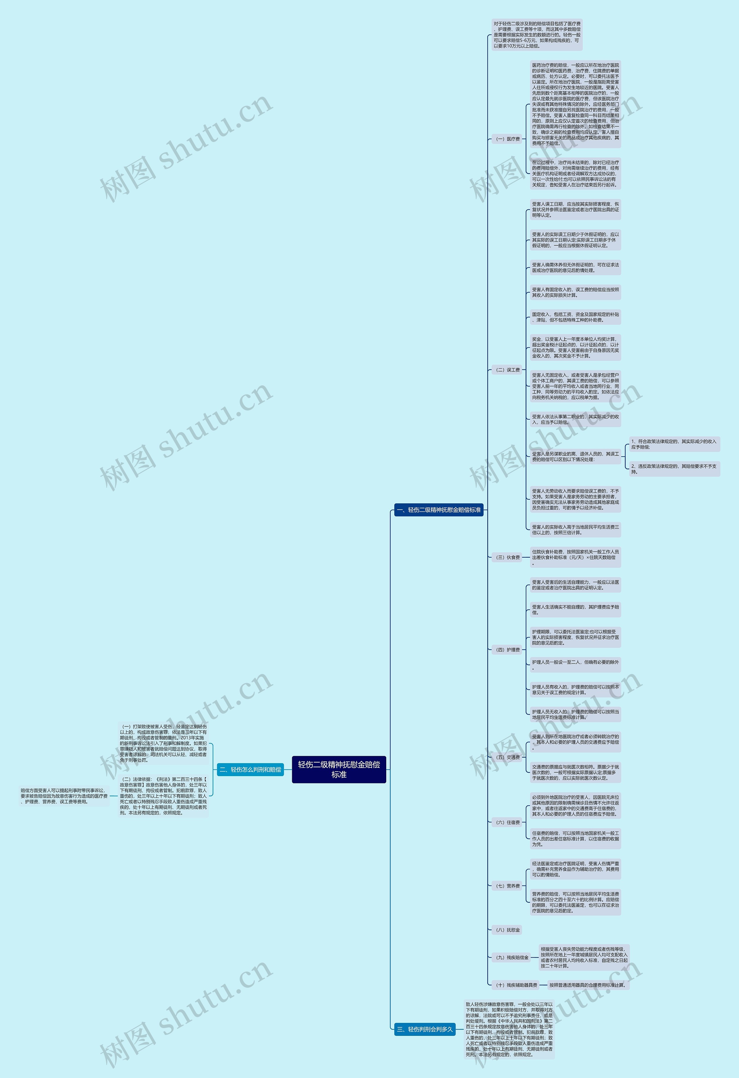 轻伤二级精神抚慰金赔偿标准思维导图