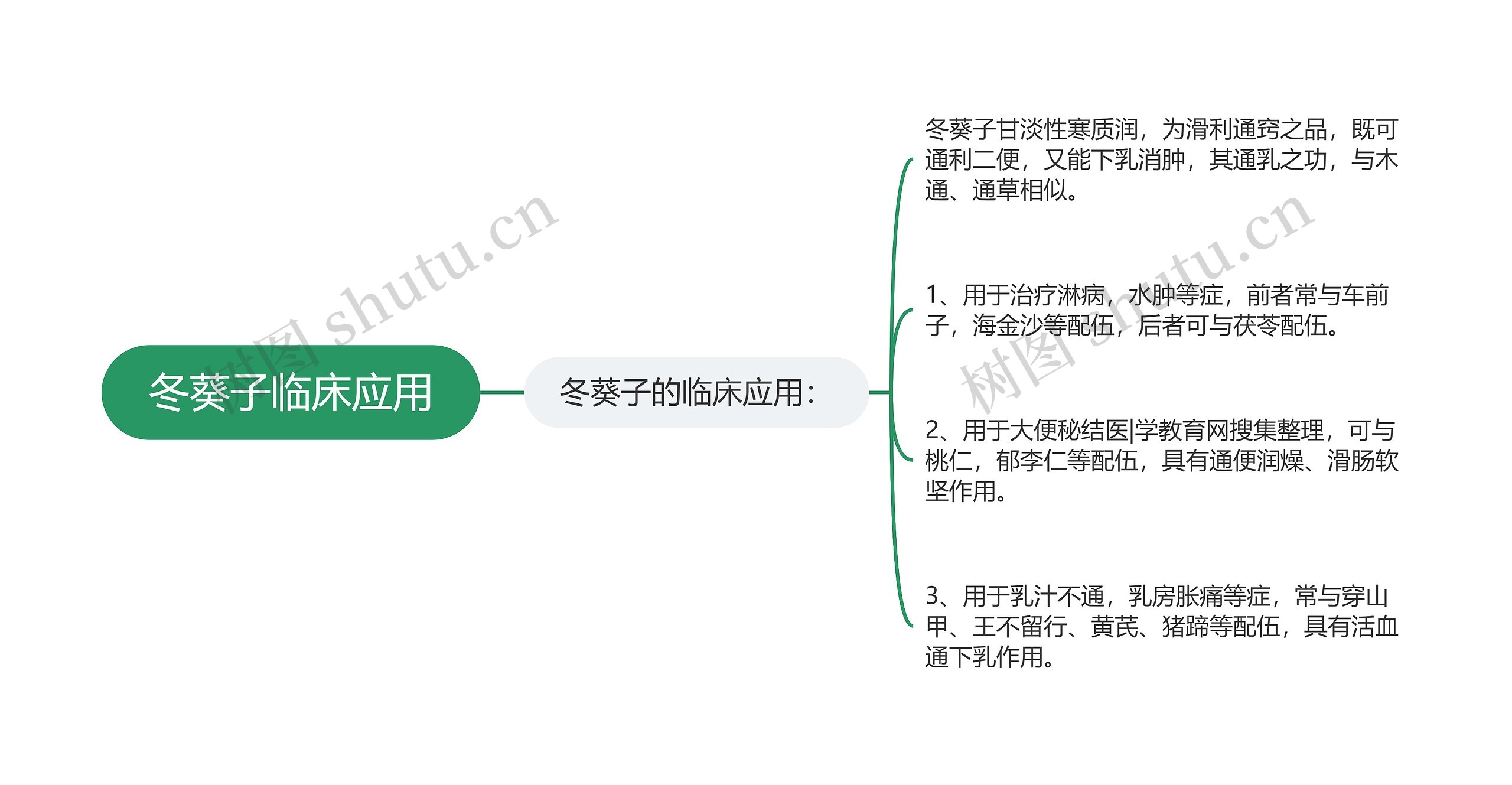 冬葵子临床应用思维导图