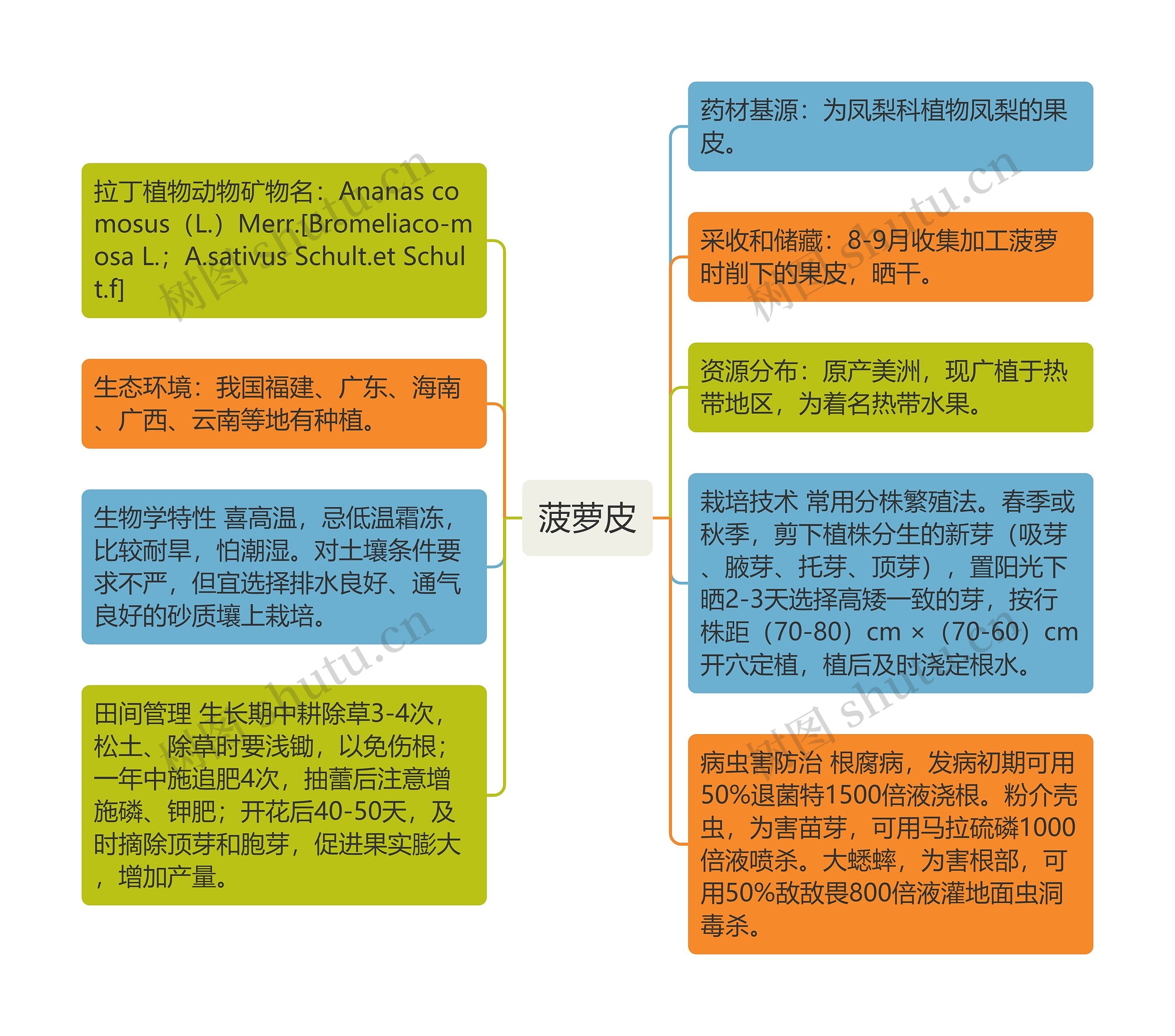 菠萝皮 菠萝皮