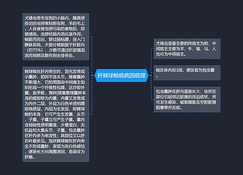 肝棘球蚴病病因病理