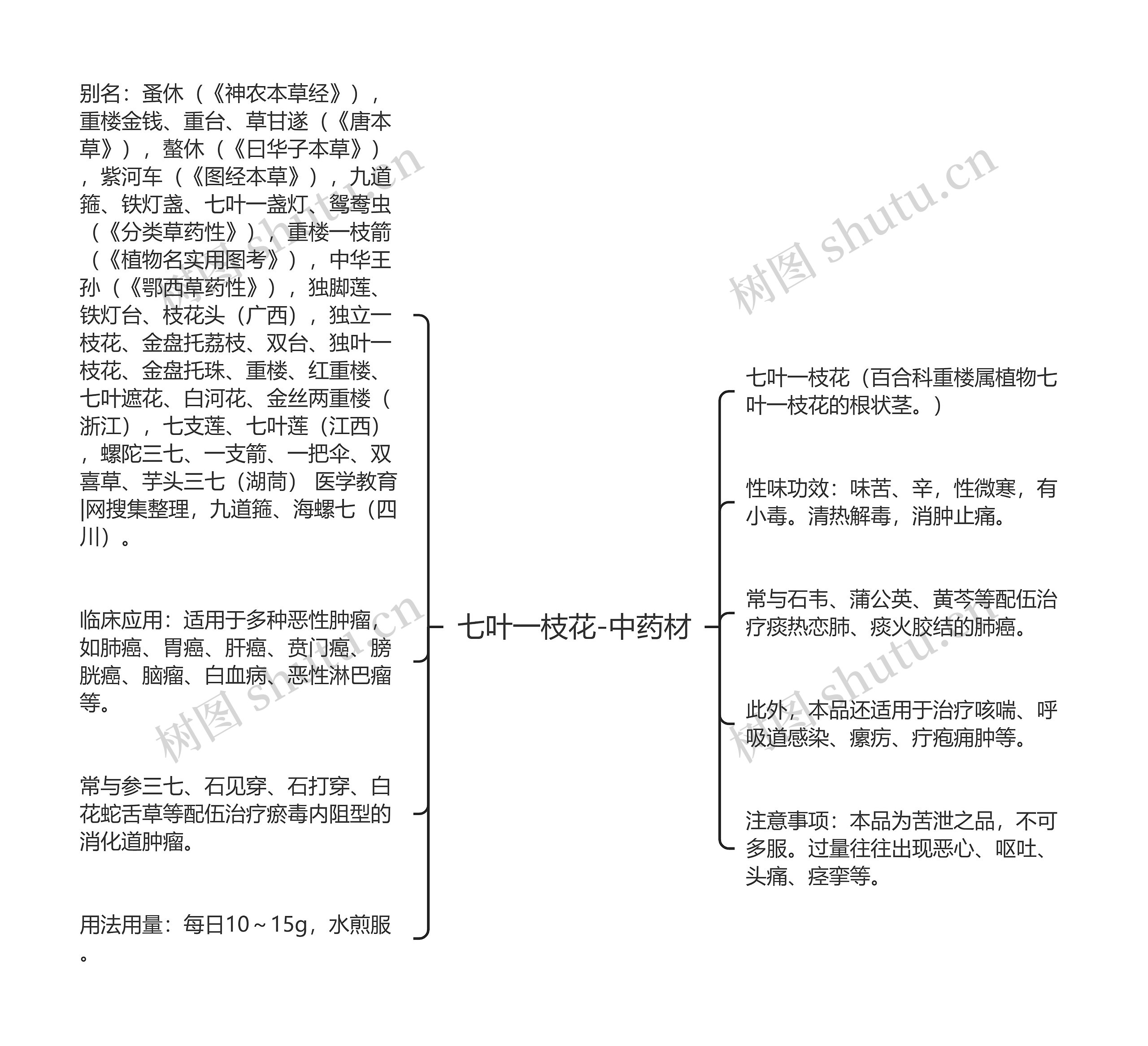 七叶一枝花-中药材