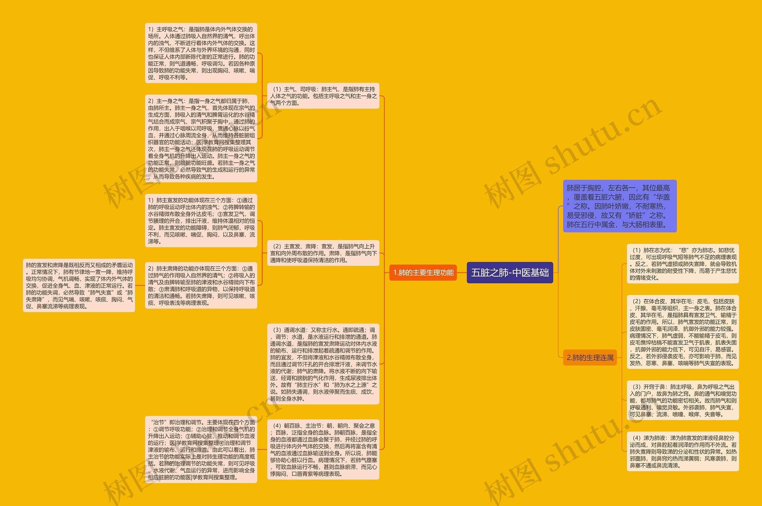 五脏之肺-中医基础 五脏之肺-中医基础