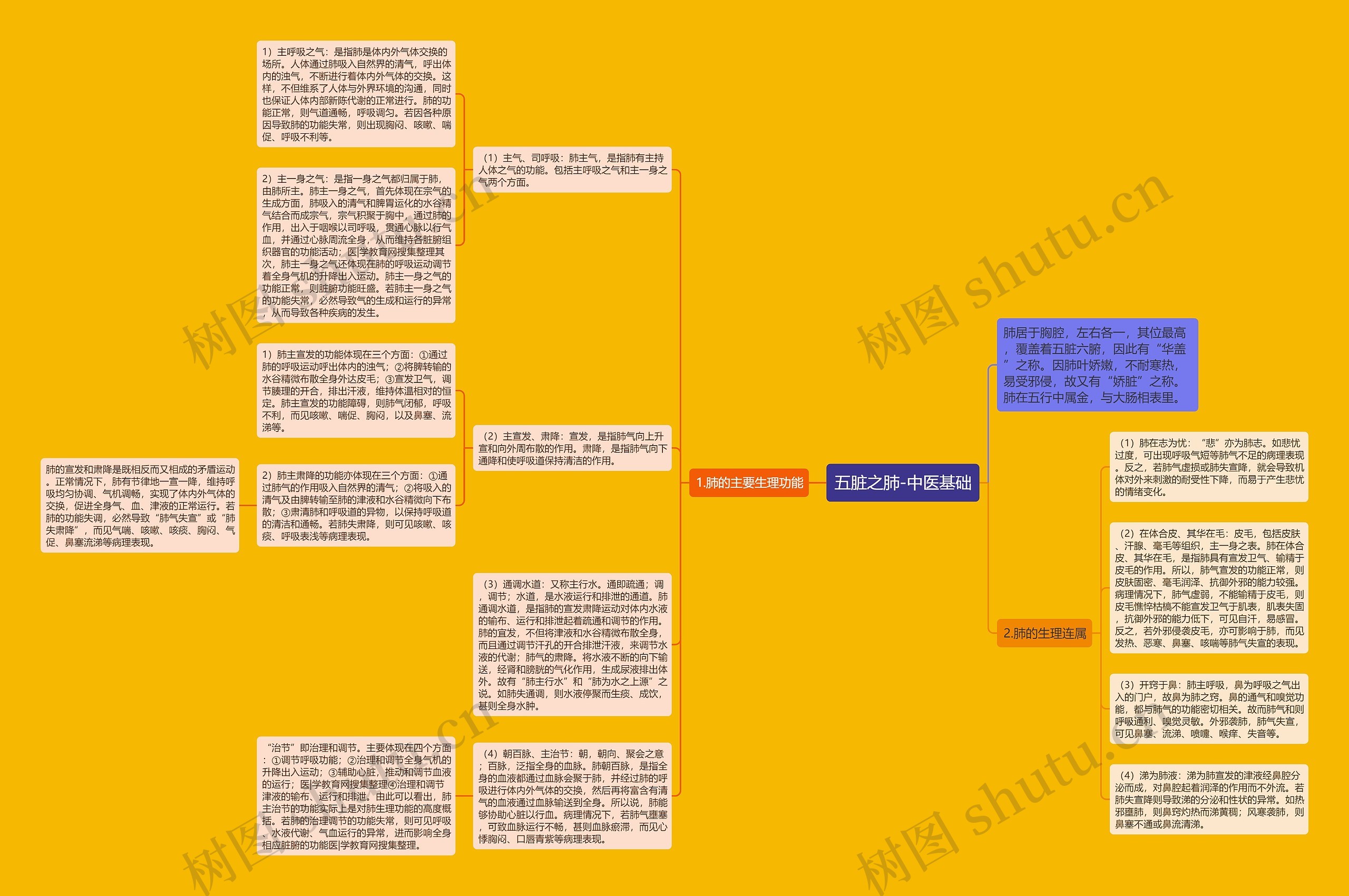 五脏之肺-中医基础思维导图