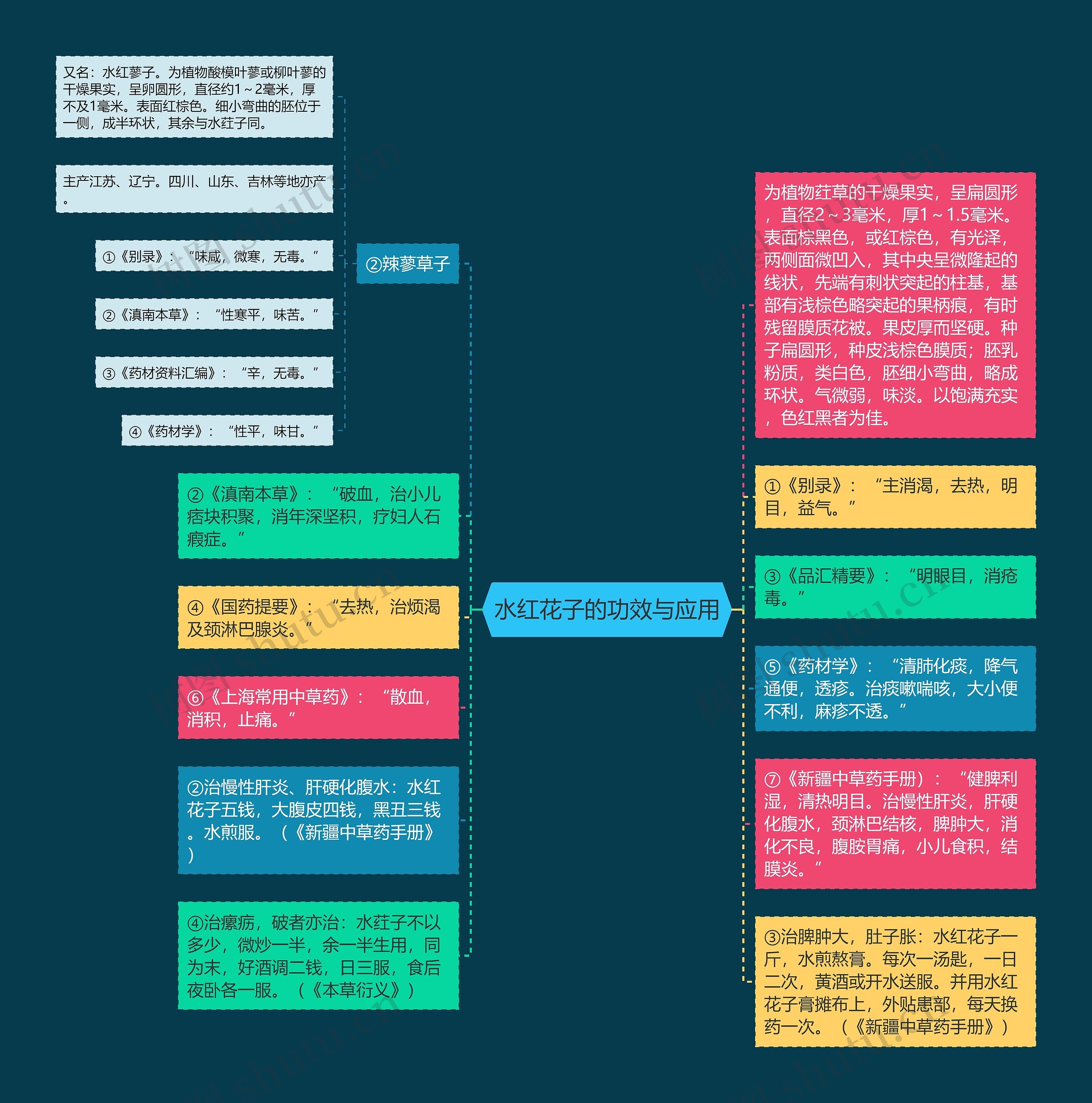 水红花子的功效与应用思维导图