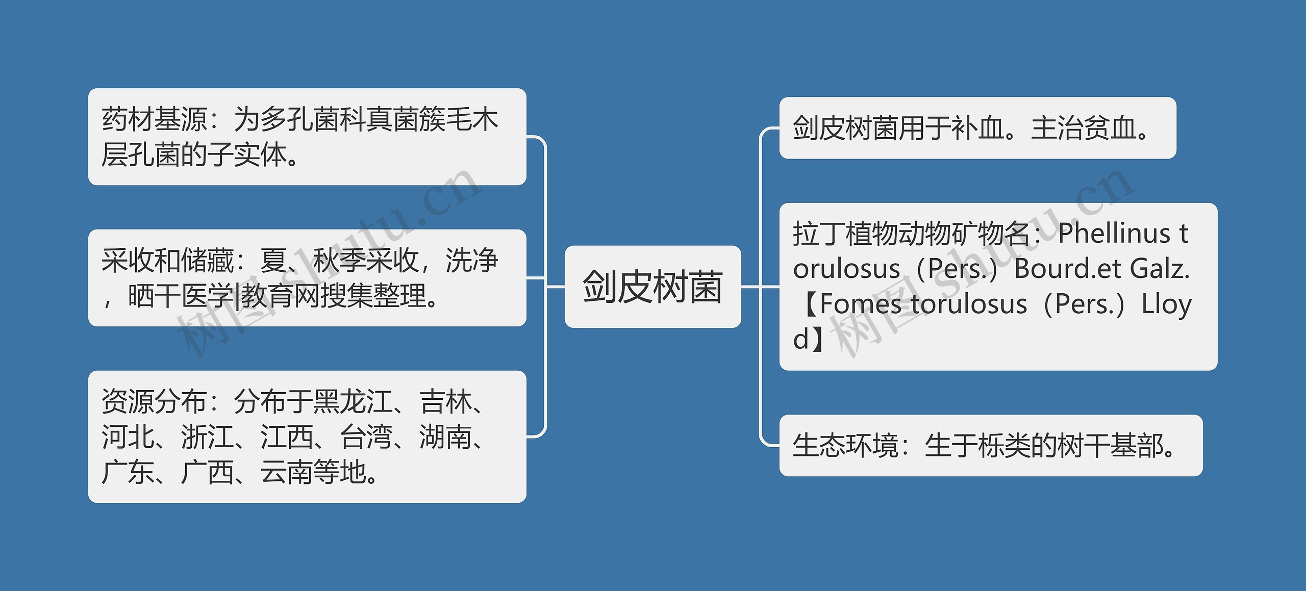 剑皮树菌思维导图