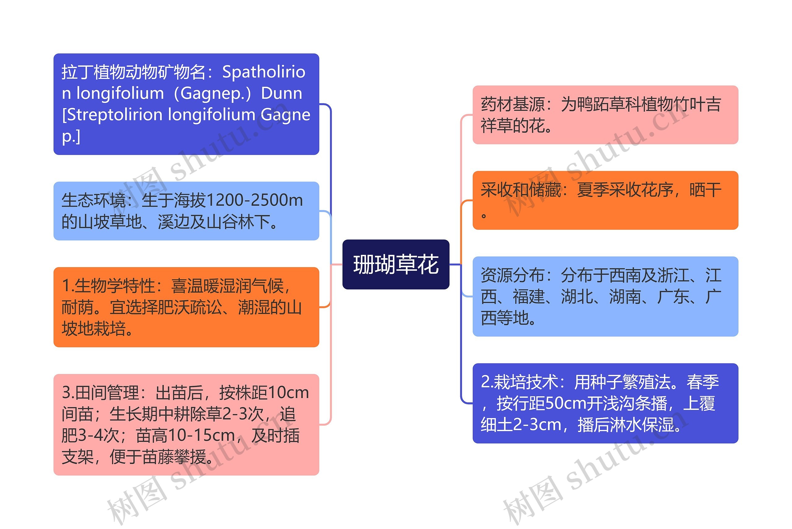 珊瑚草花思维导图