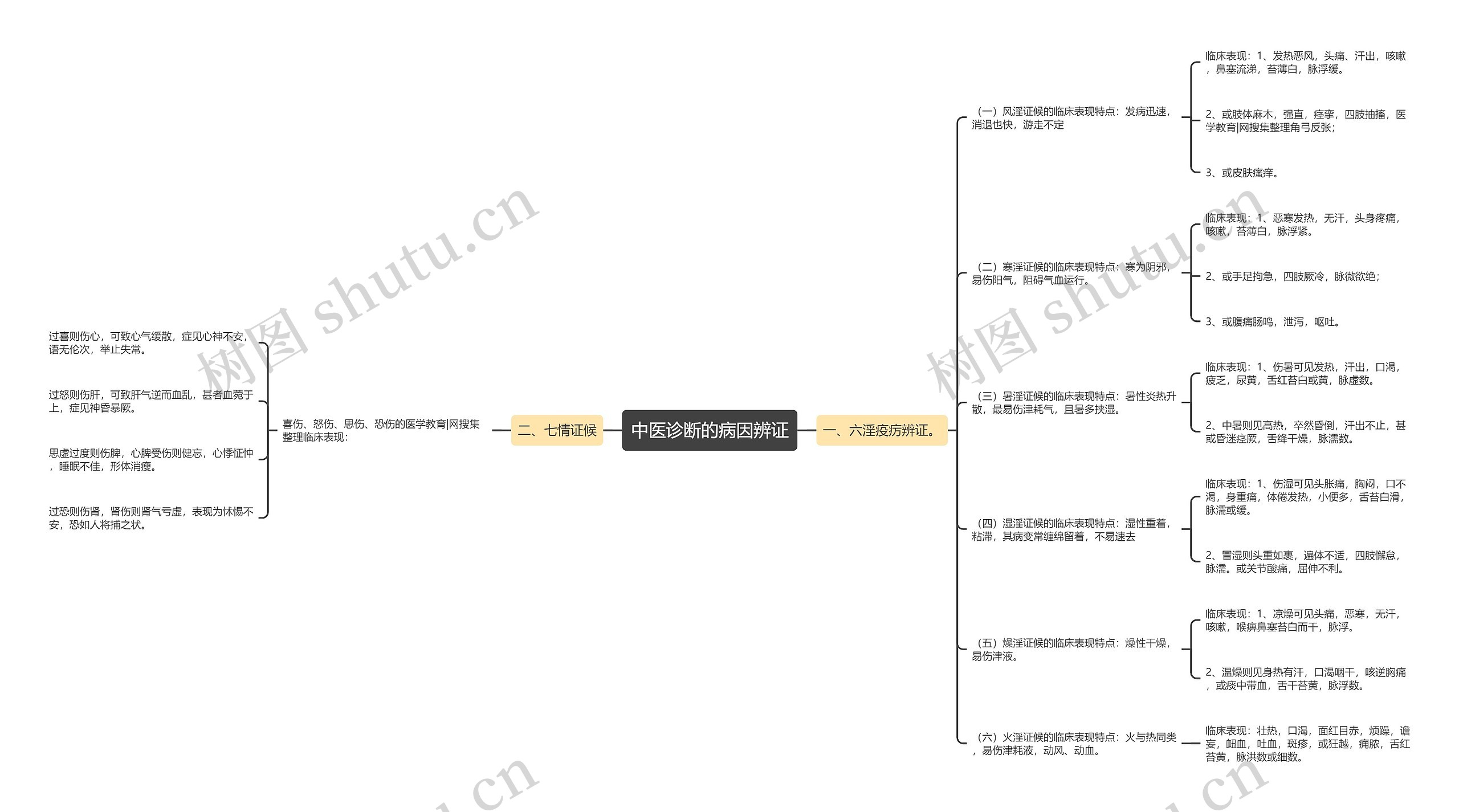 中医诊断的病因辨证思维导图
