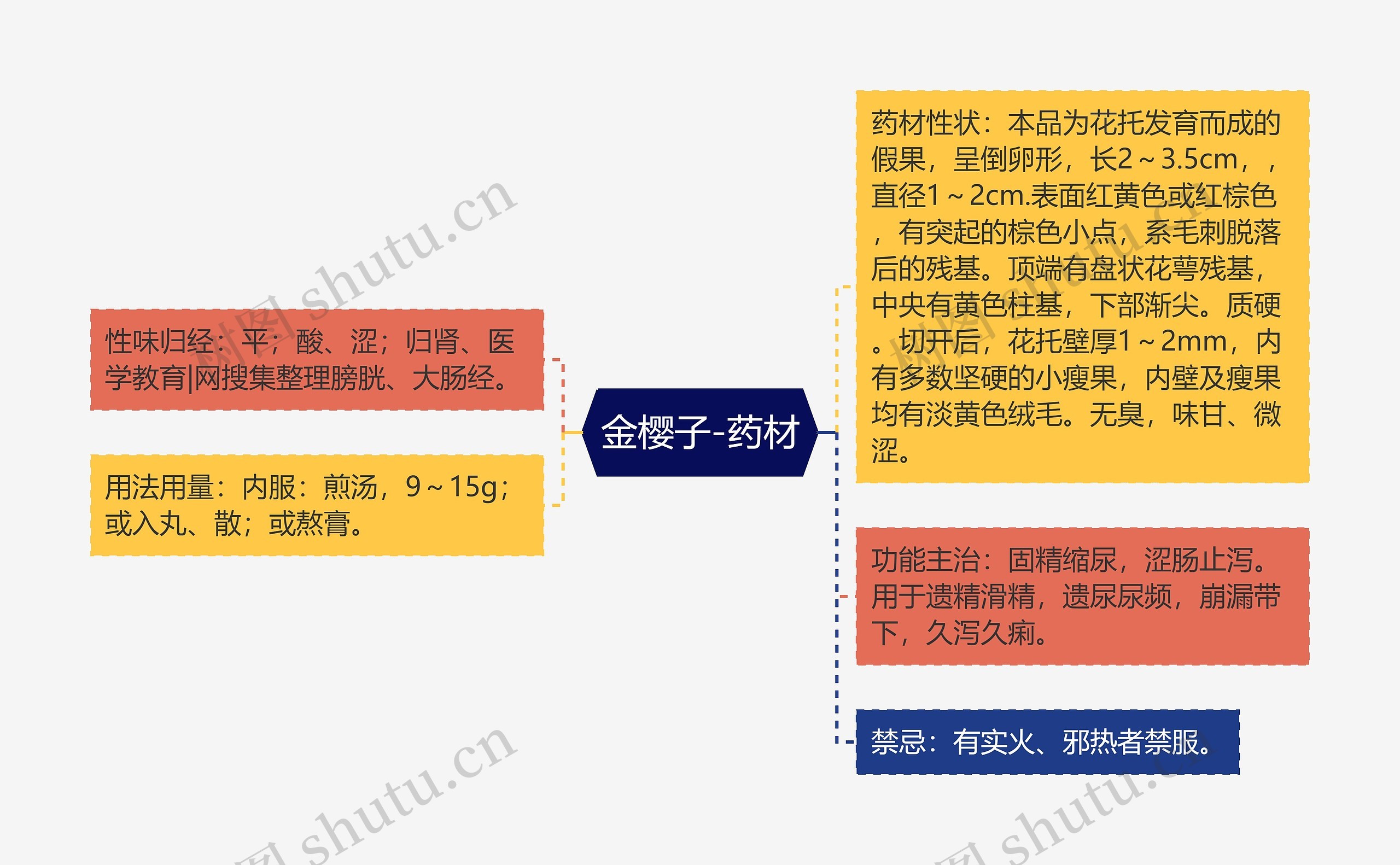 金樱子-药材思维导图