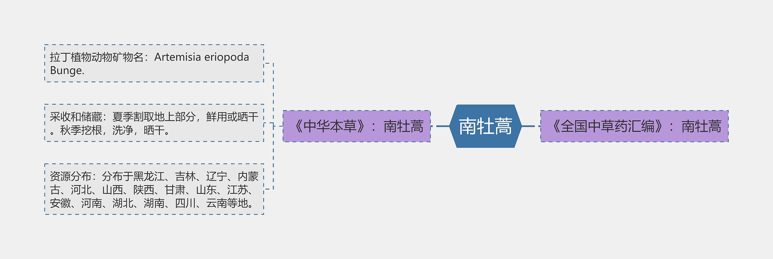 南牡蒿思维导图