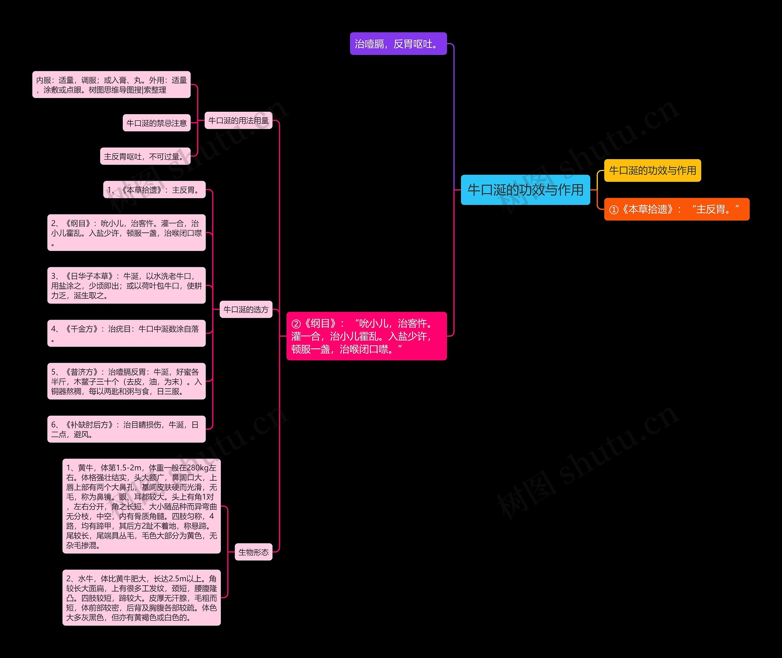牛口涎的功效与作用 牛口涎的功效与作用
