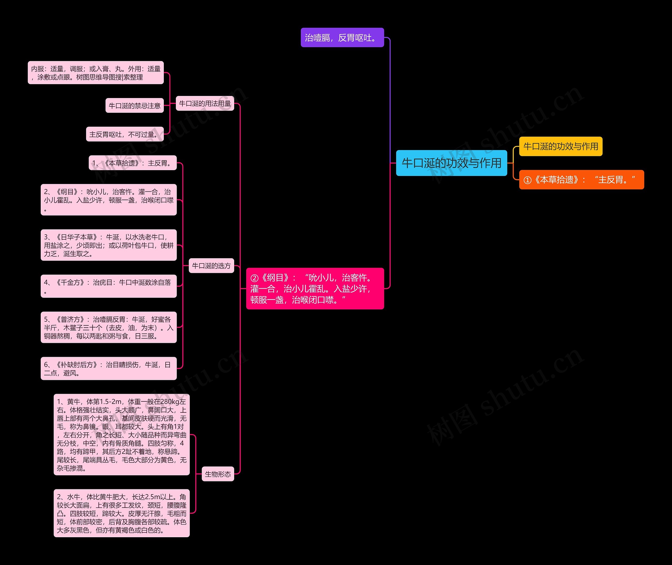 牛口涎的功效与作用思维导图