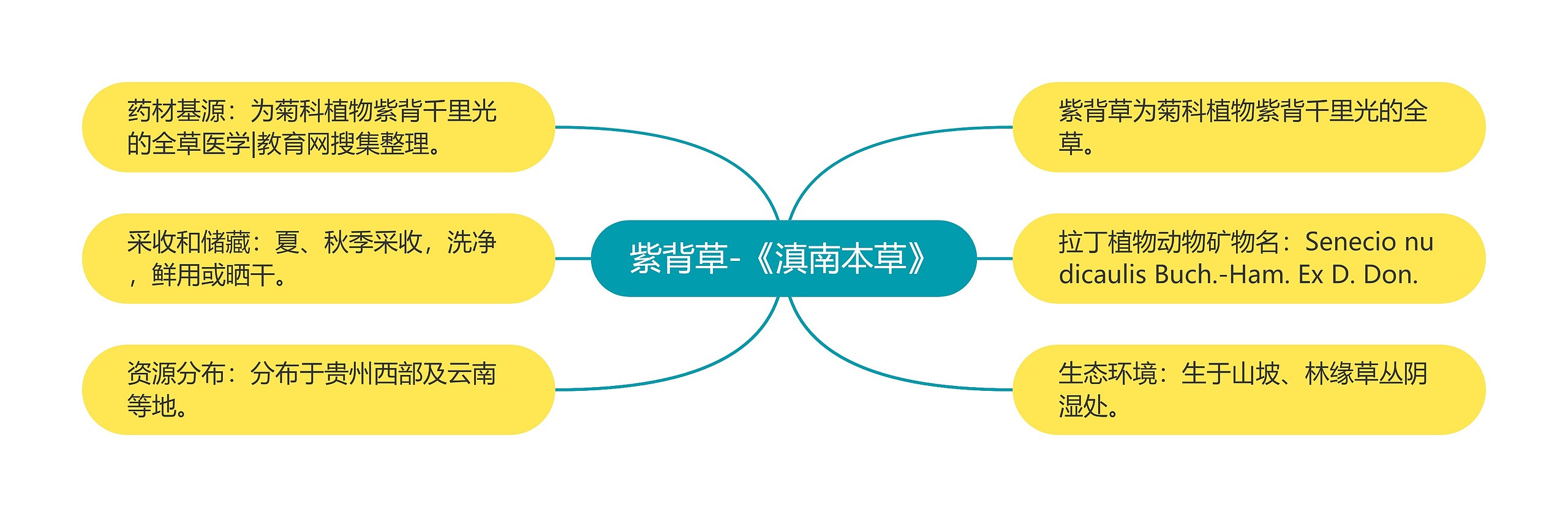 紫背草-《滇南本草》 紫背草-《滇南本草》