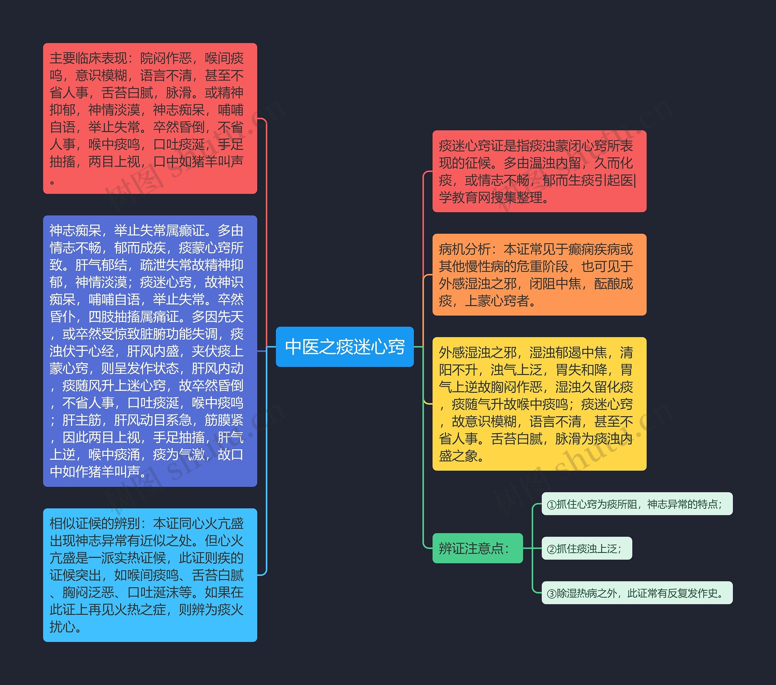 中医之痰迷心窍思维导图