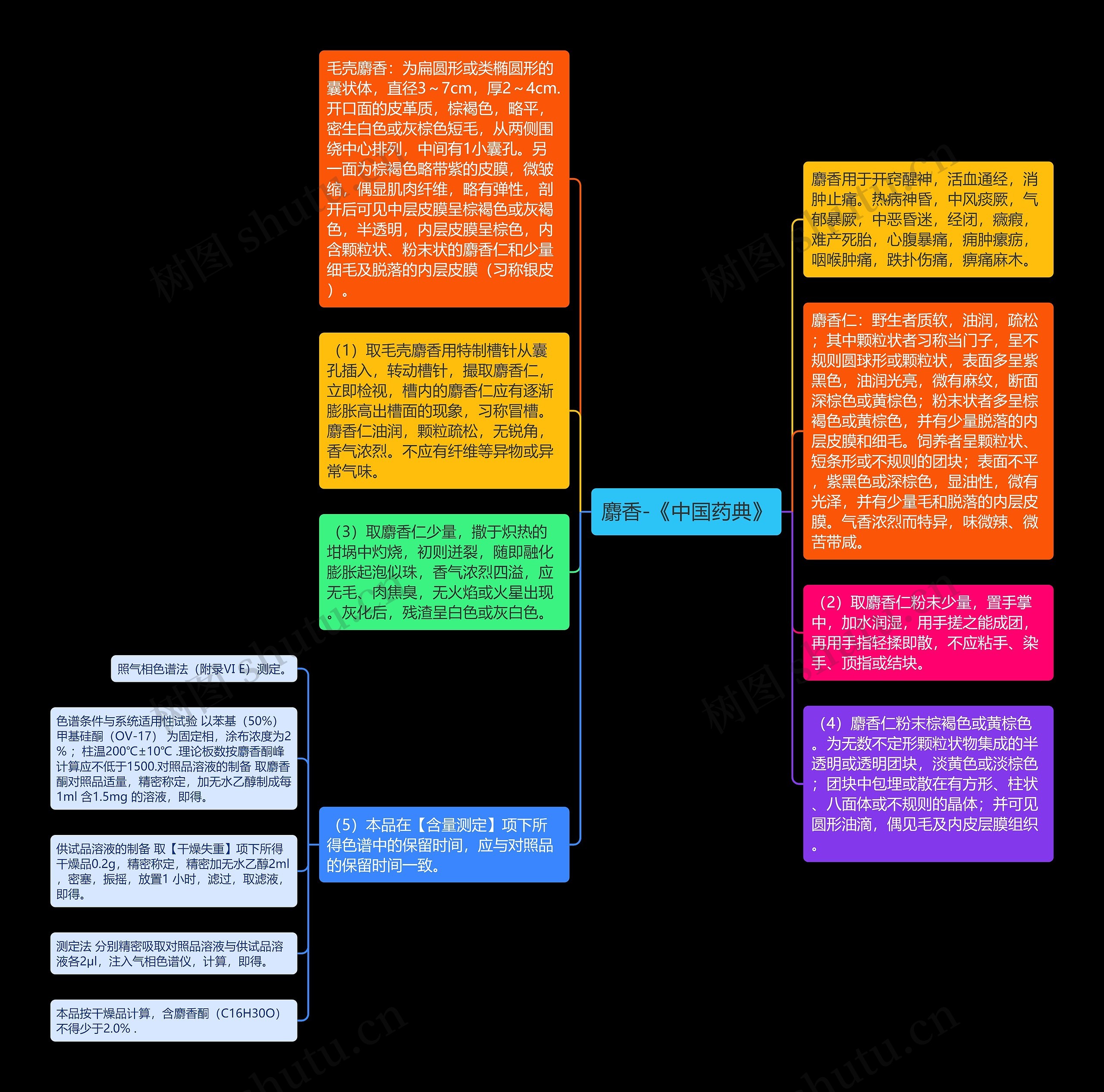 麝香-《中国药典》思维导图