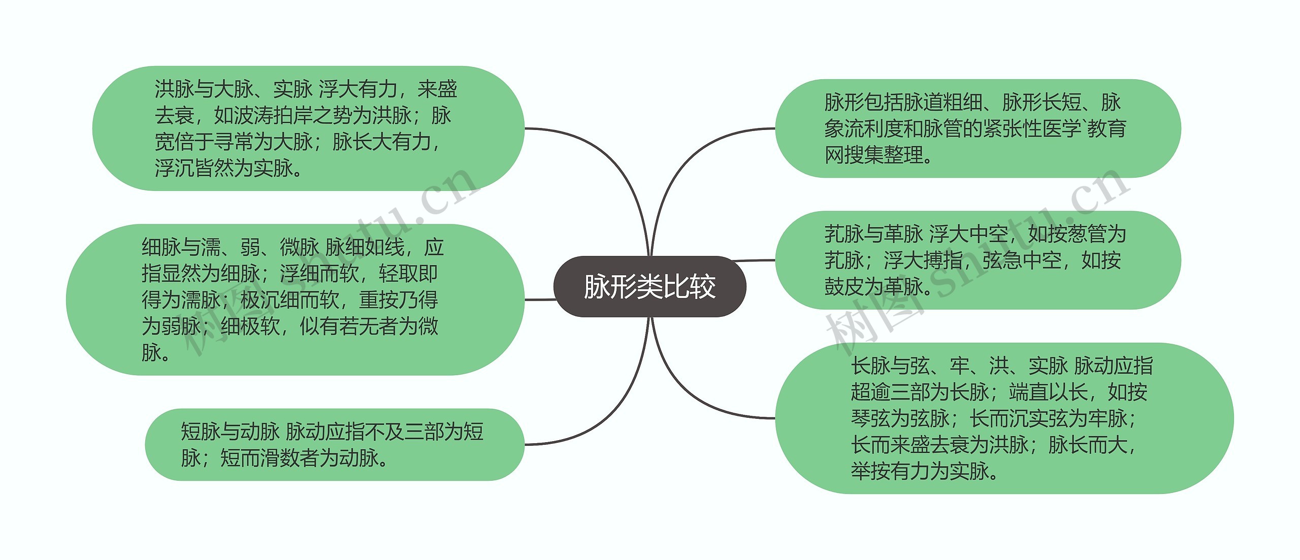 脉形类比较思维导图