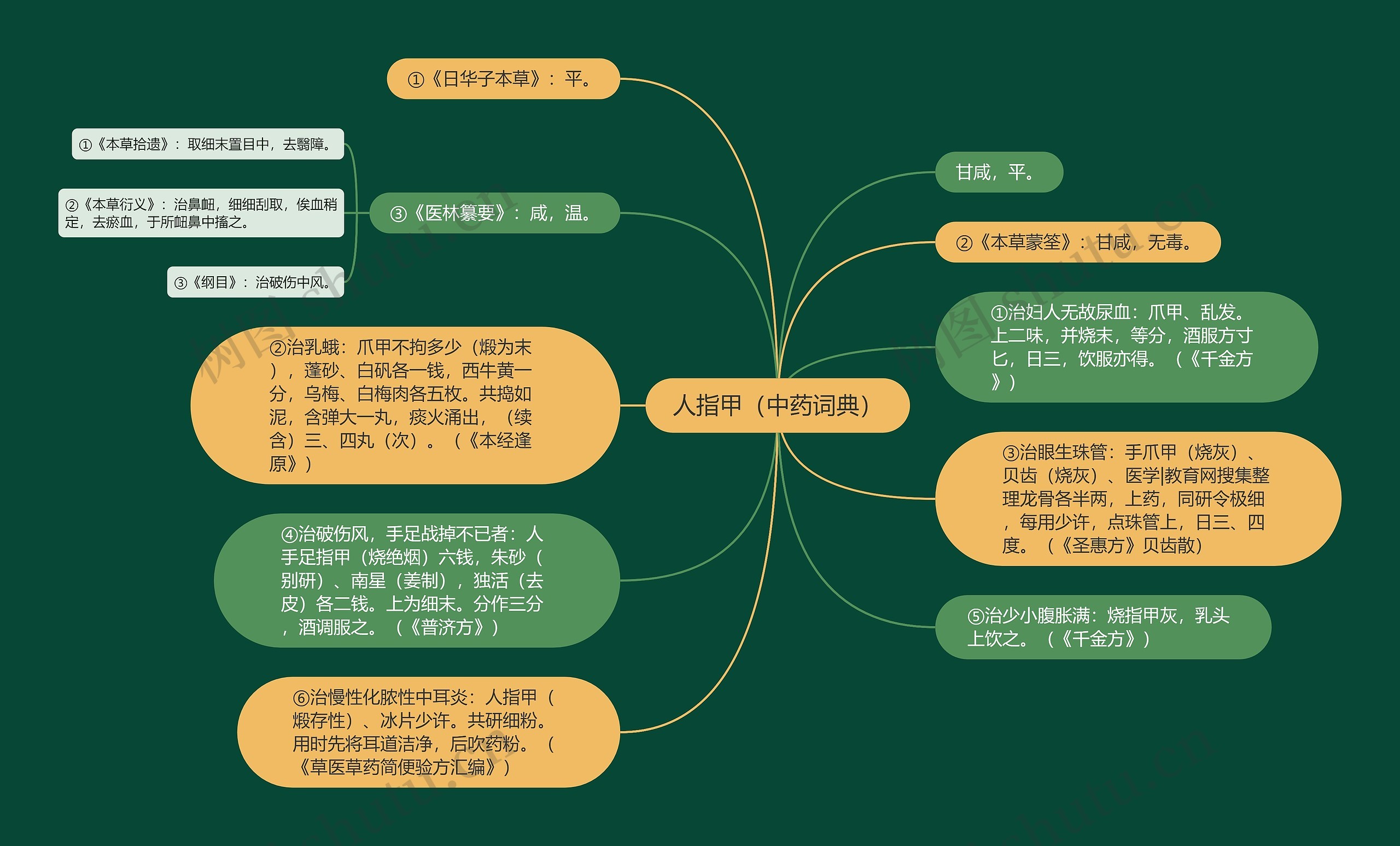 人指甲（中药词典）思维导图