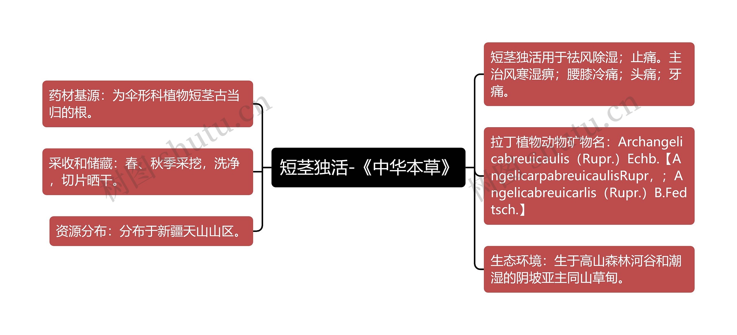 短茎独活-《中华本草》思维导图