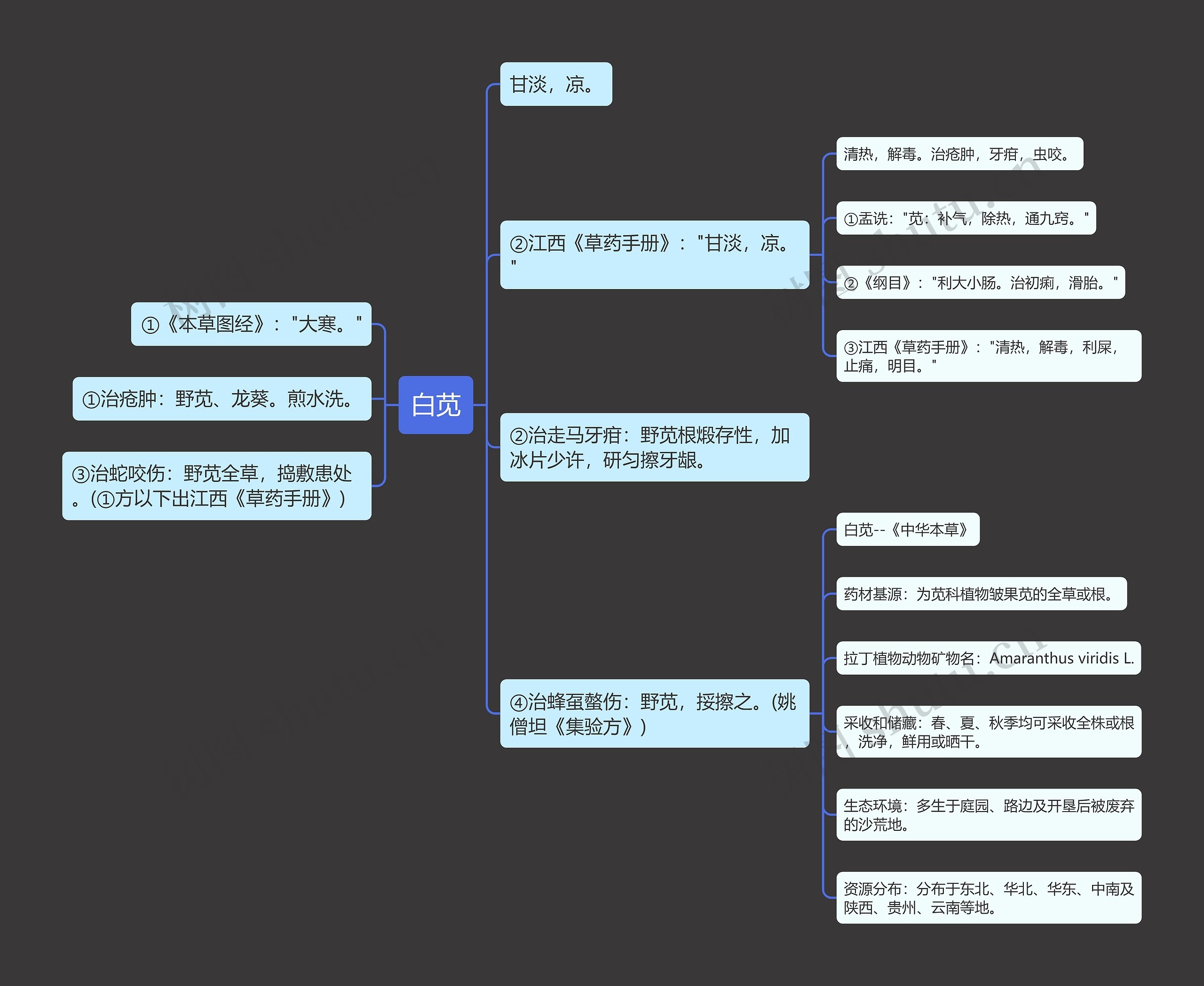 白苋思维导图