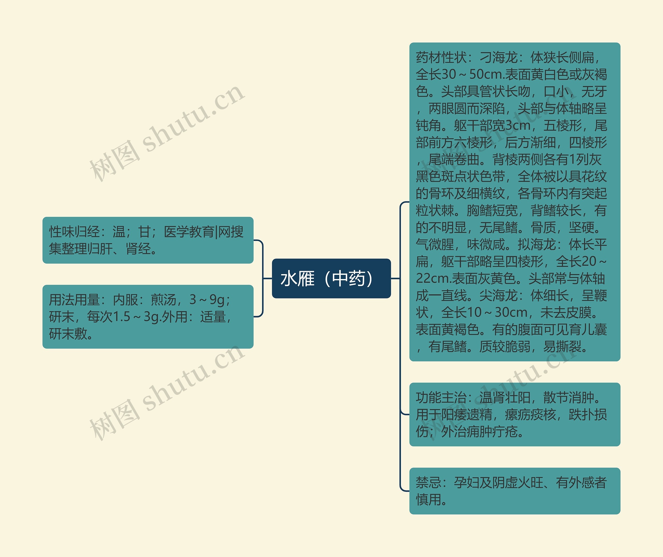 水雁（中药）思维导图