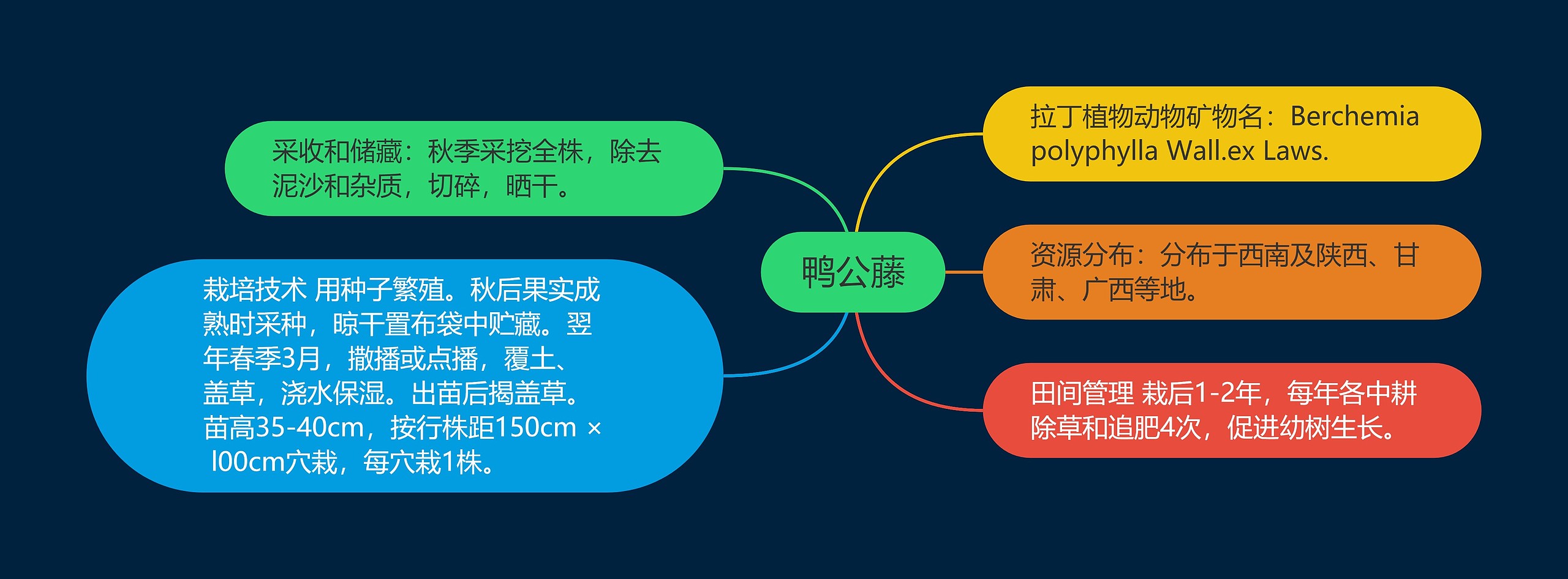 鸭公藤思维导图