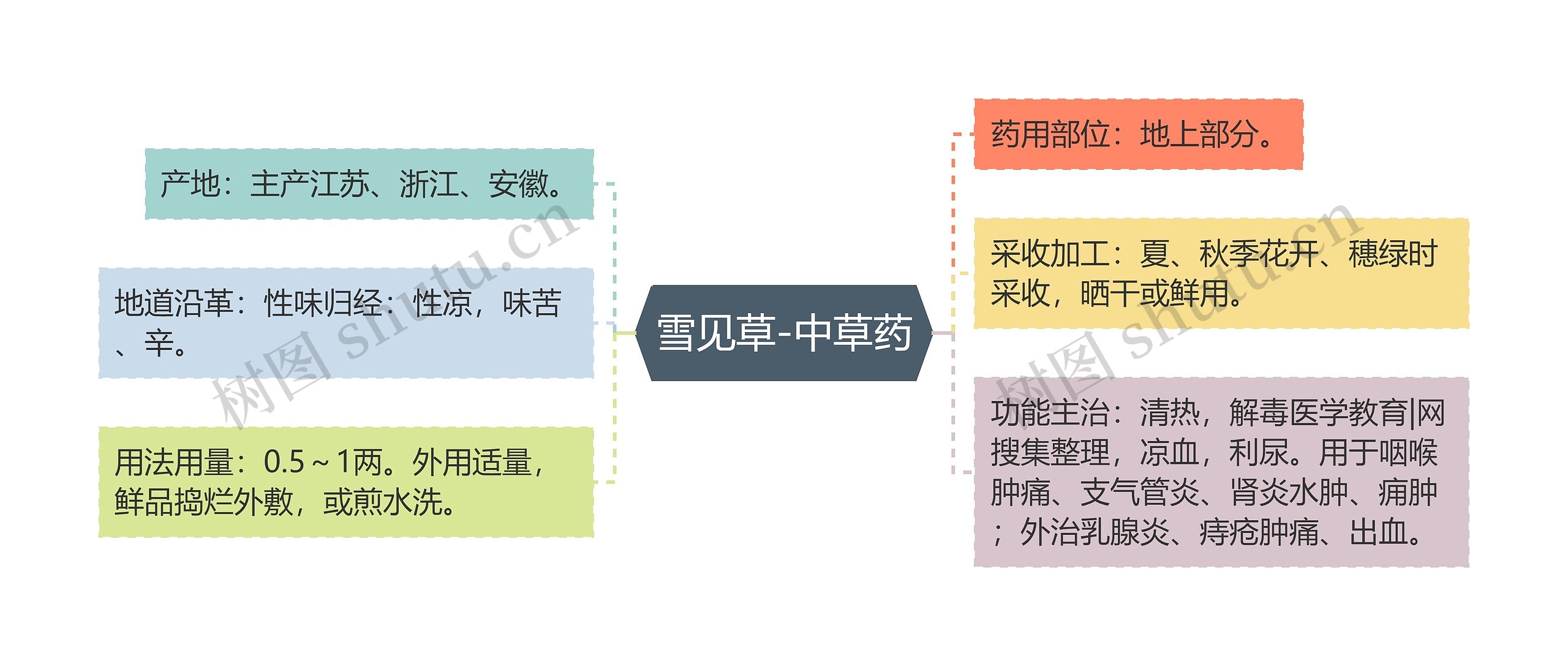 雪见草-中草药思维导图