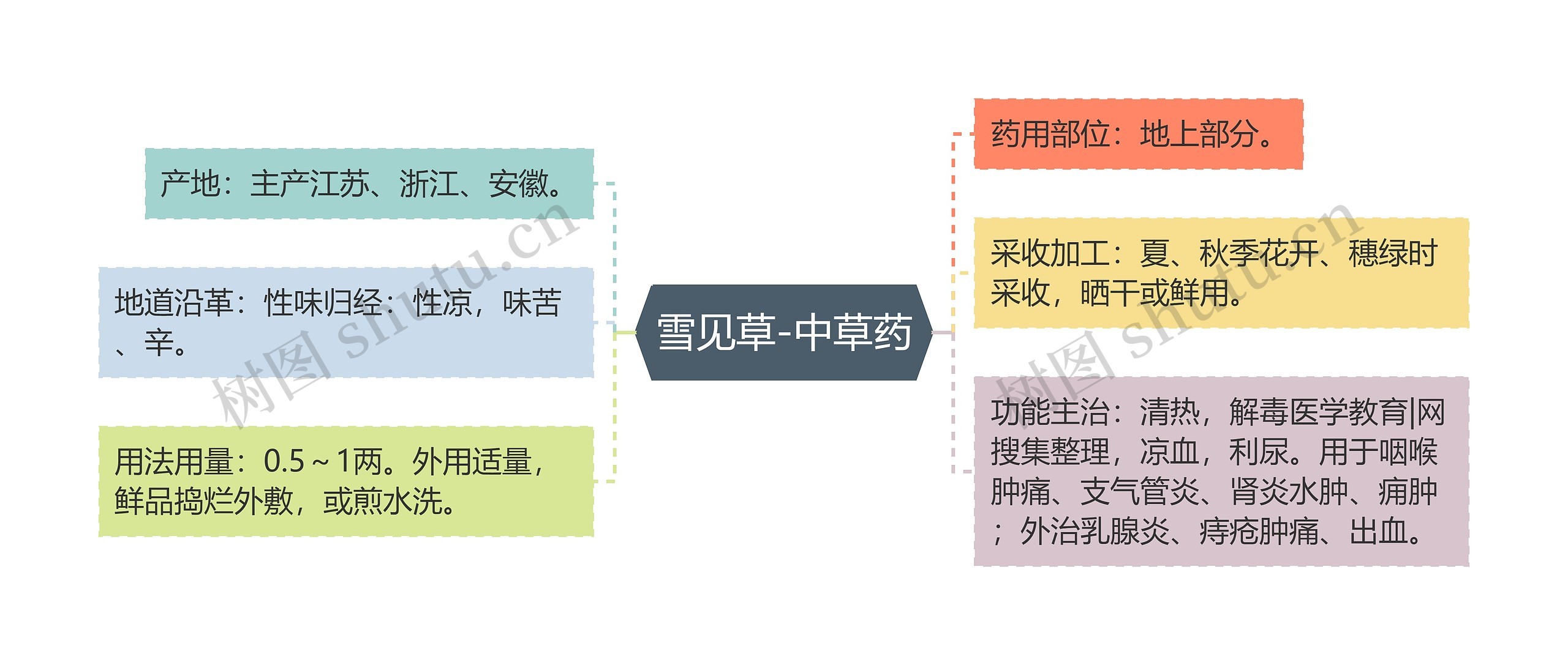 雪见草-中草药 雪见草-中草药