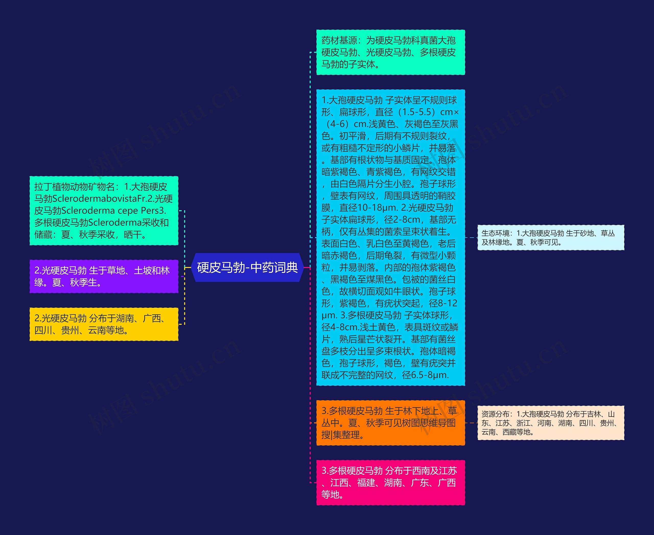 硬皮马勃-中药词典思维导图