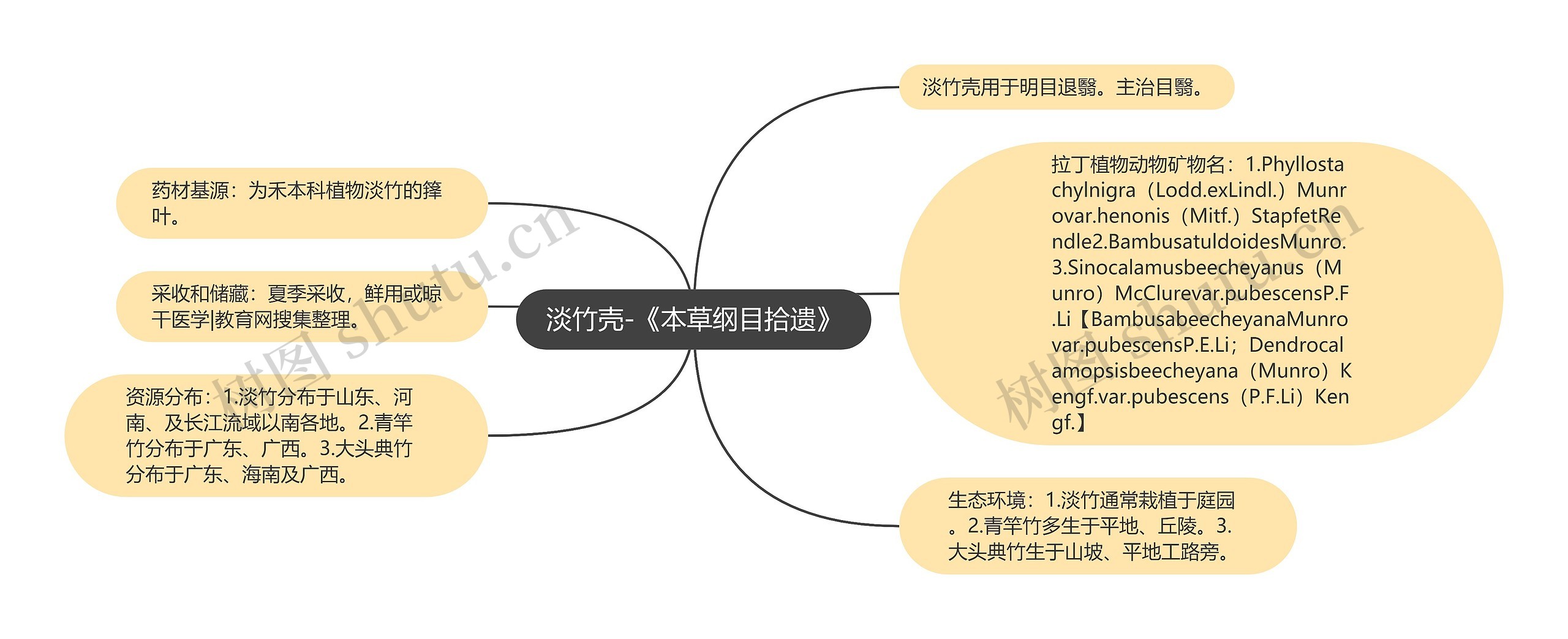 淡竹壳-《本草纲目拾遗》思维导图