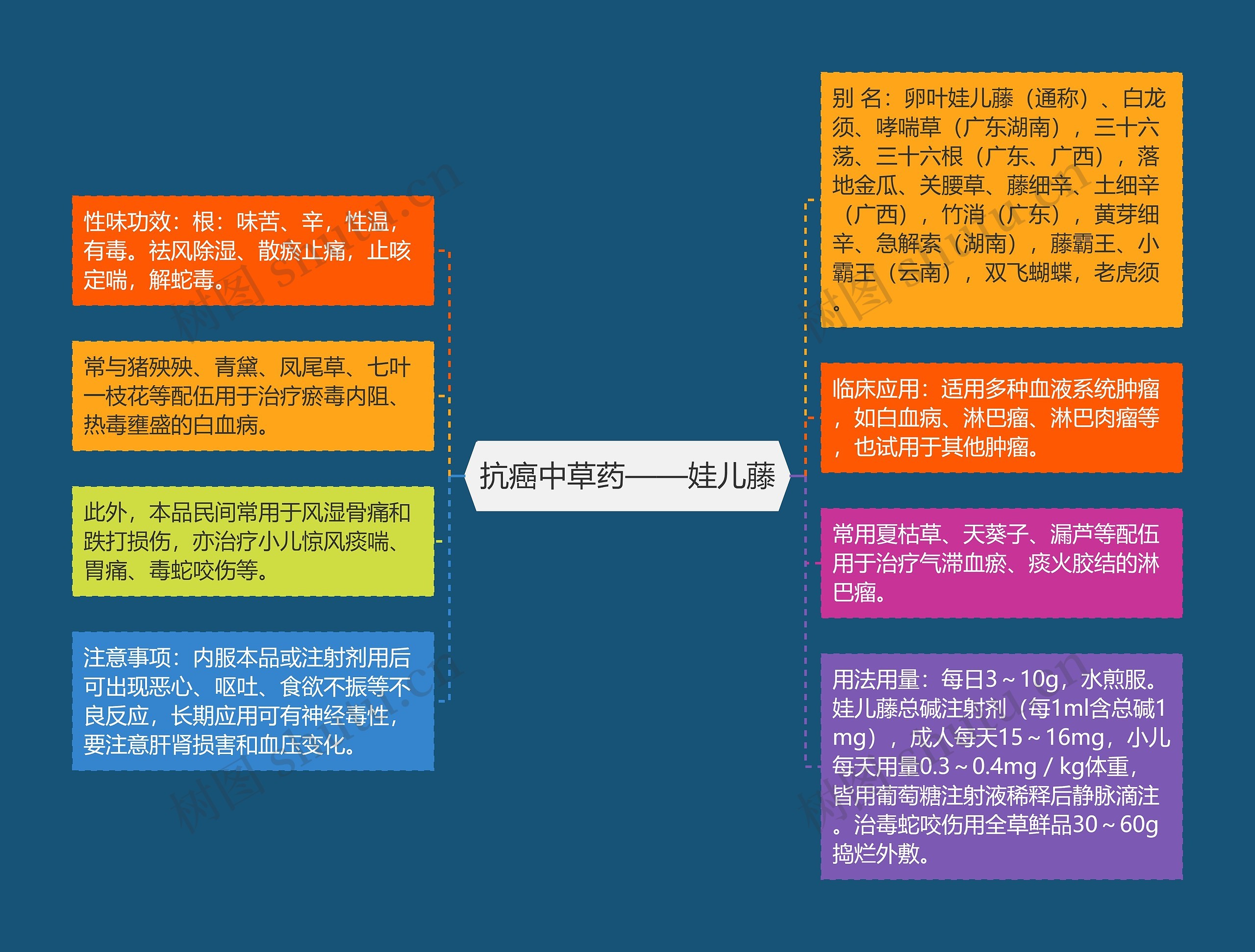 抗癌中草药——娃儿藤思维导图