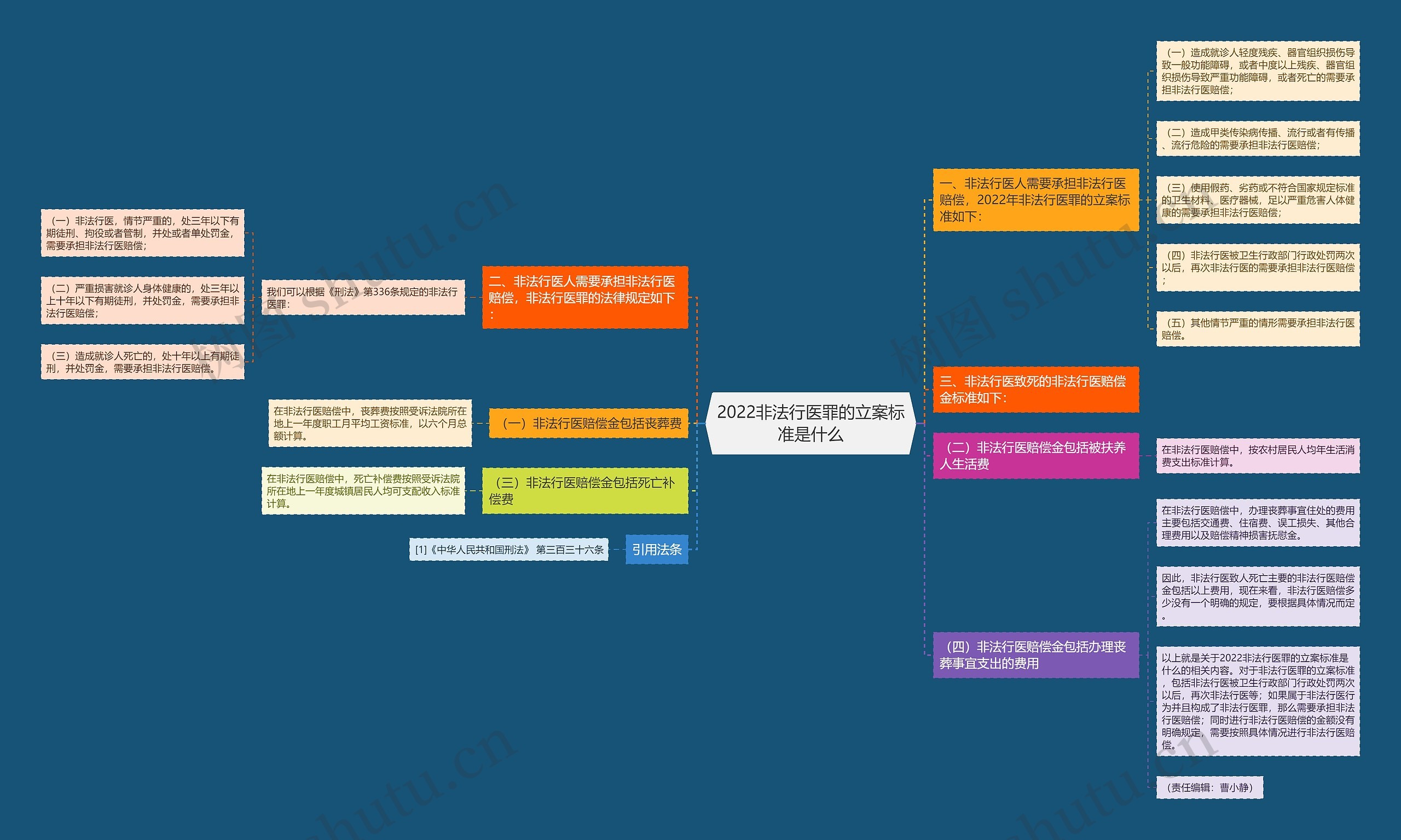 2022非法行医罪的立案标准是什么思维导图