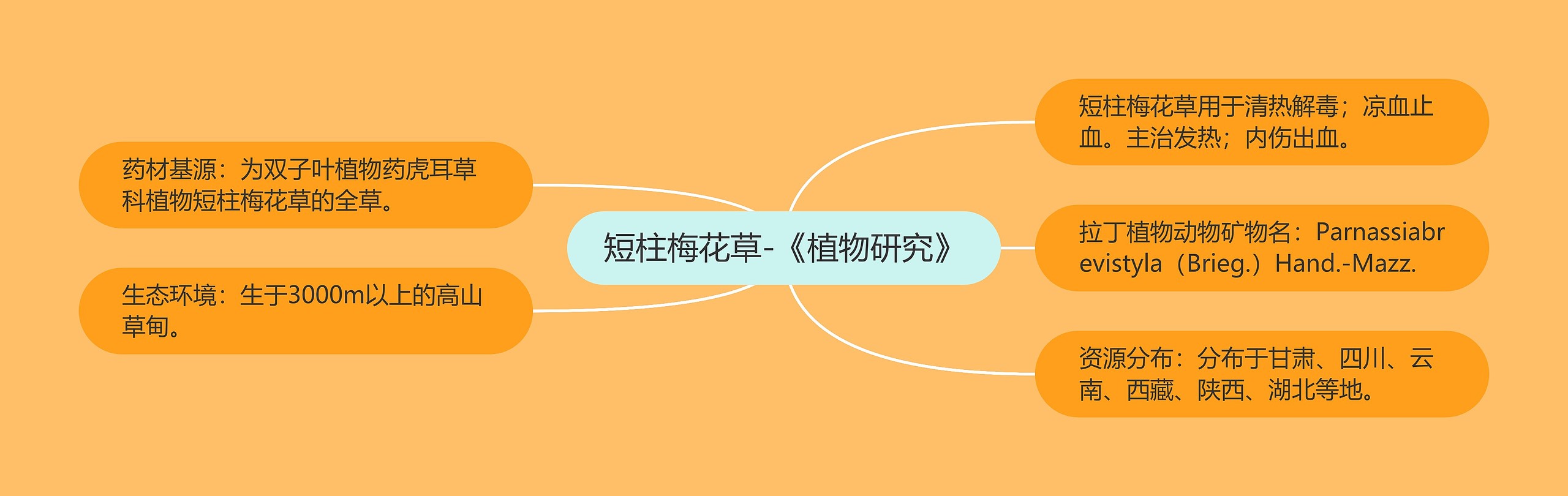 短柱梅花草-《植物研究》 短柱梅花草-《植物研究》